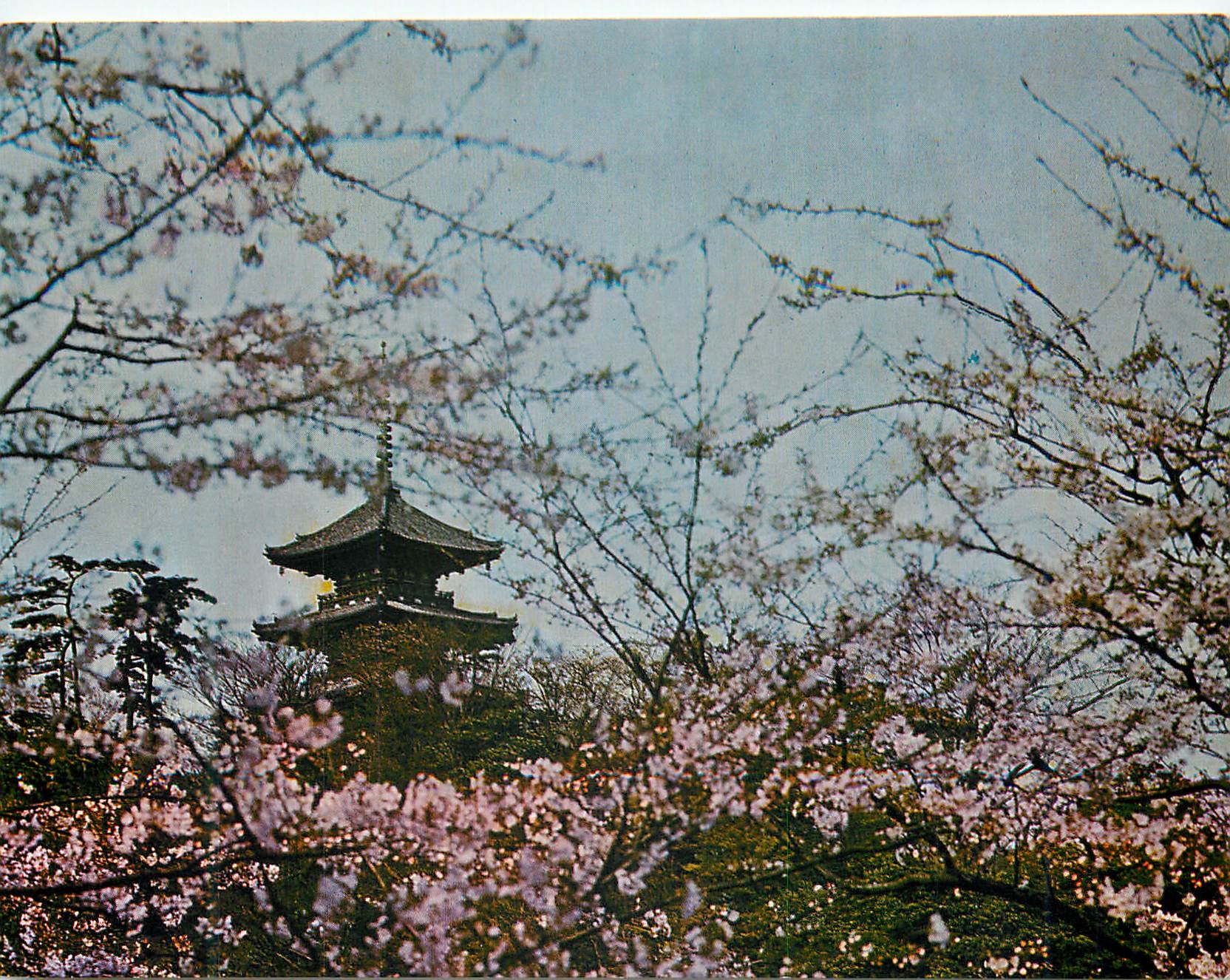 CPM Yokohama City Sankei on Park is a Private Garden 