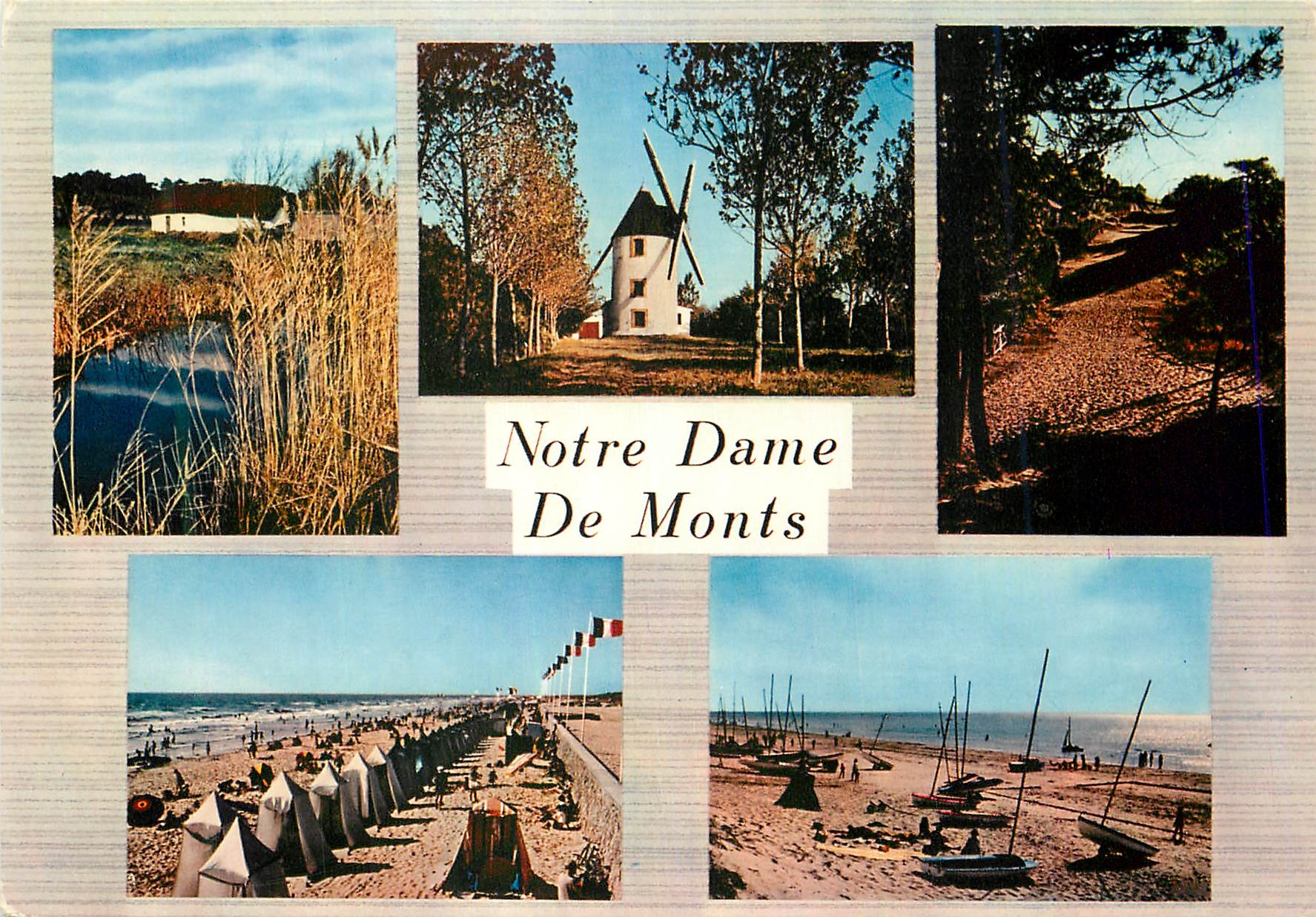 CPM Notre Dame de Monts (Vendee) une Bourrinne Vieux Moulin