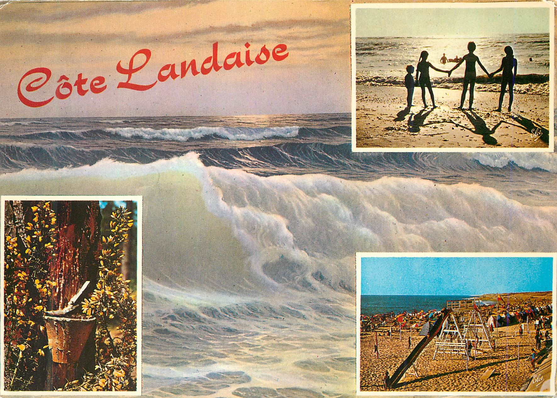 Côte Landaise — vue de la plage et de la mer — Éditeur MS 90