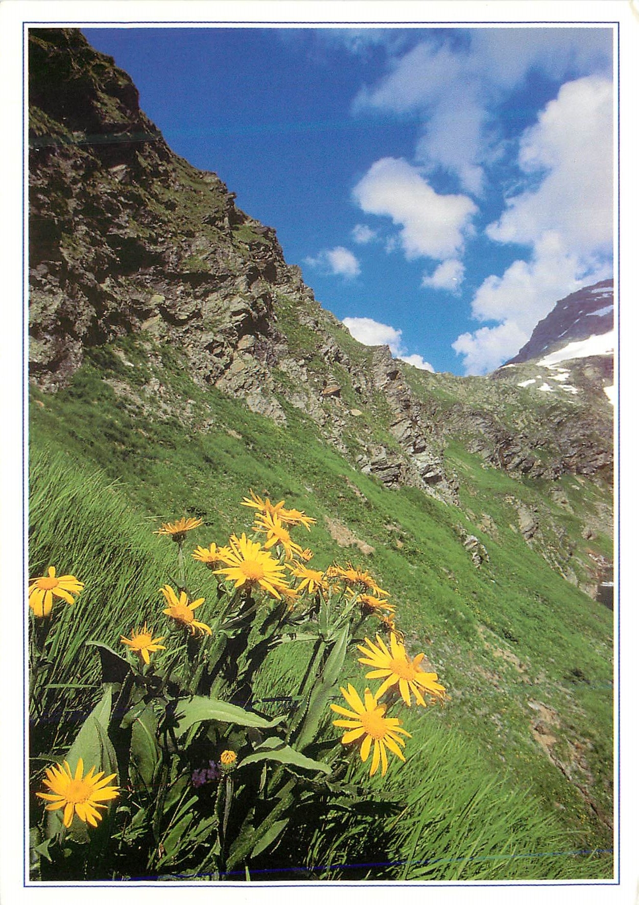 CPM Clin d'Oeil sur la Montagne