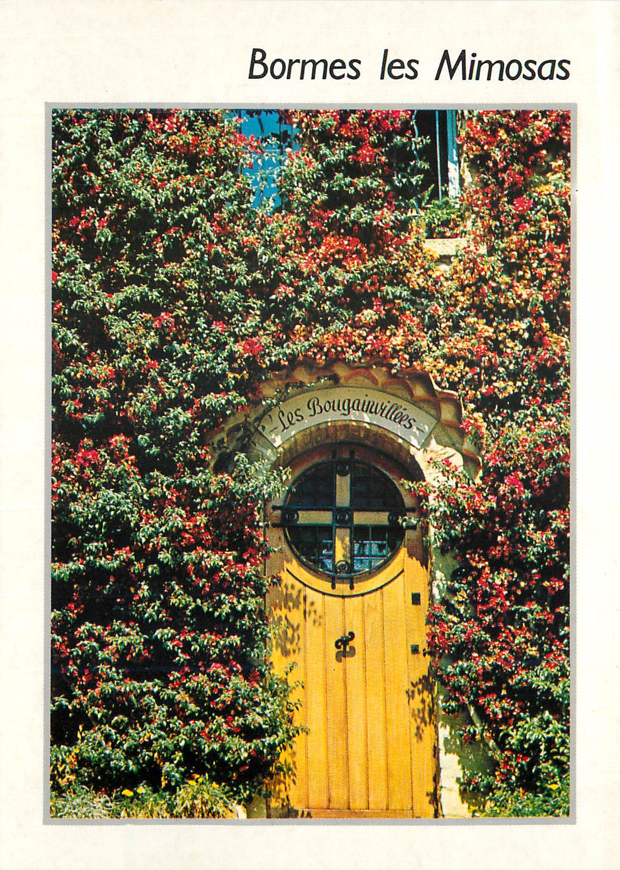 CPM Bormes les Mimosas (Var) Premier Village Fleuri de France Bougainvilles en Fleurs