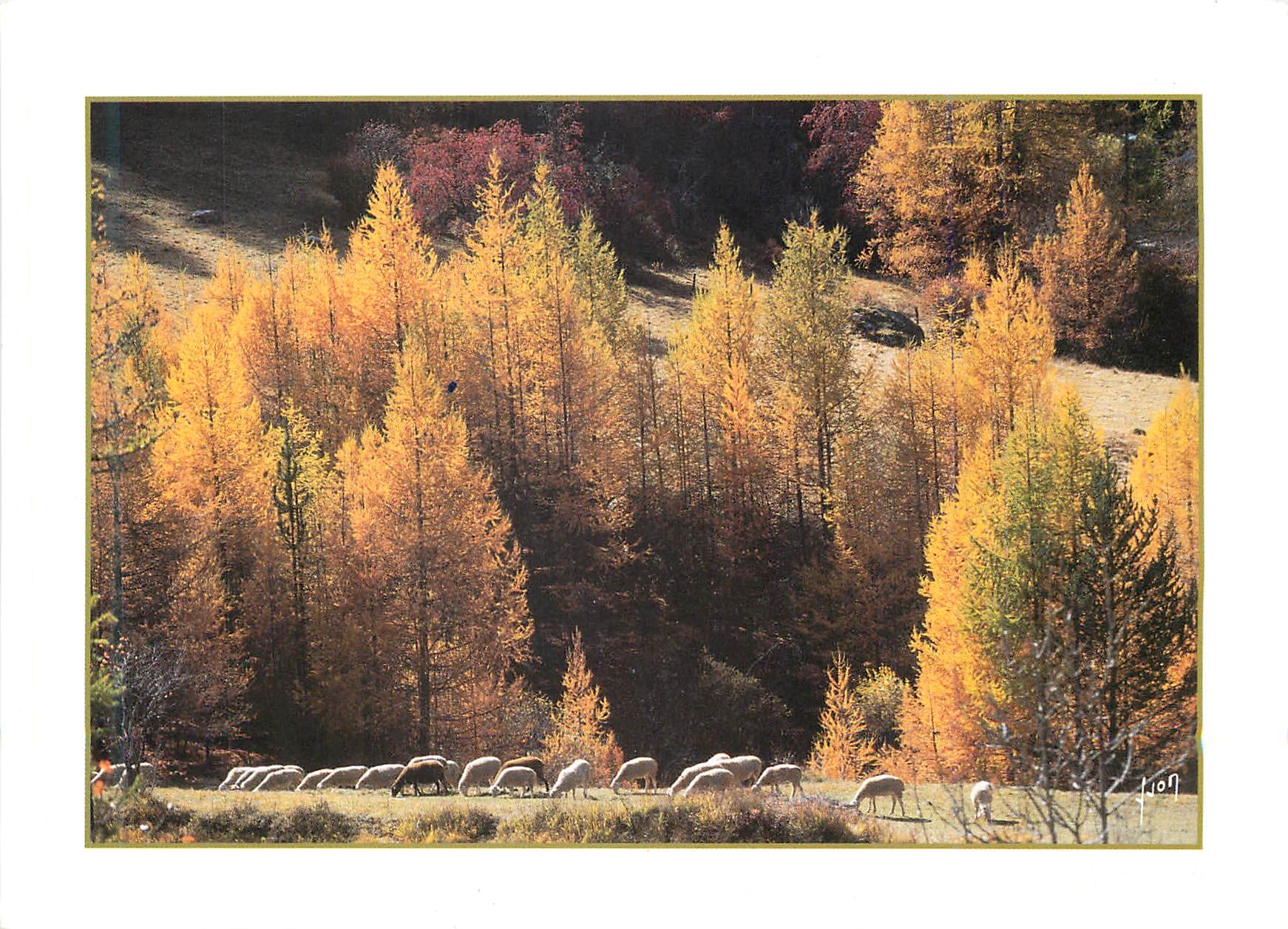 CPM Couleurs et Lumieres de France