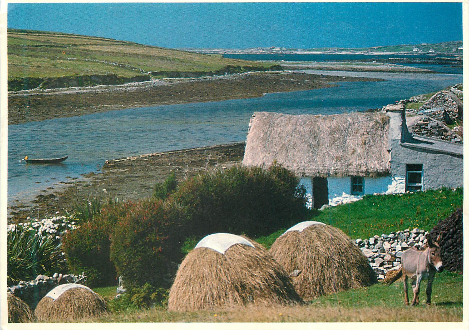 CPM Ireland People Places Connemara Ane Donkey