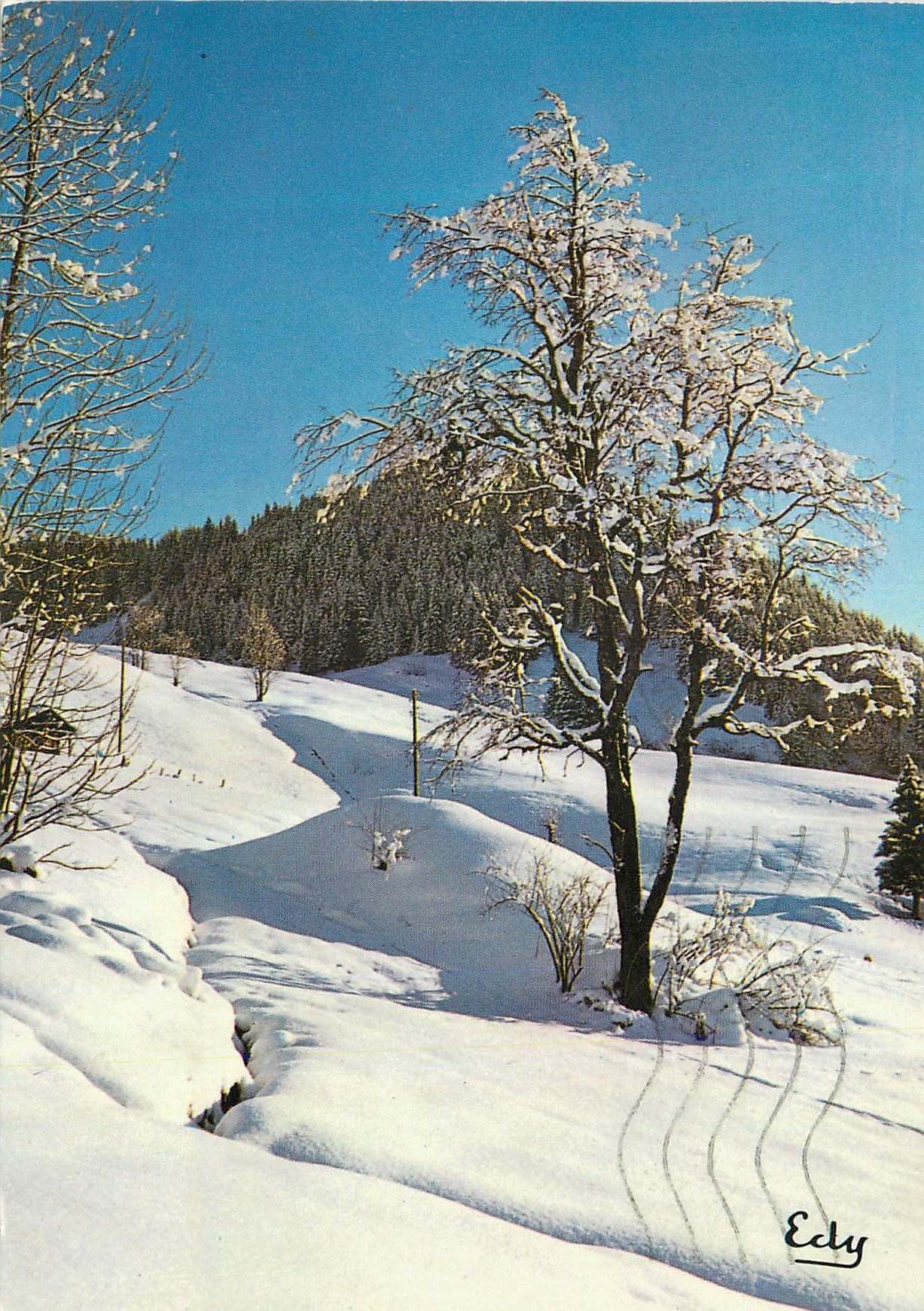 CPM Parure de Neige Images de Chez nous en Hiver