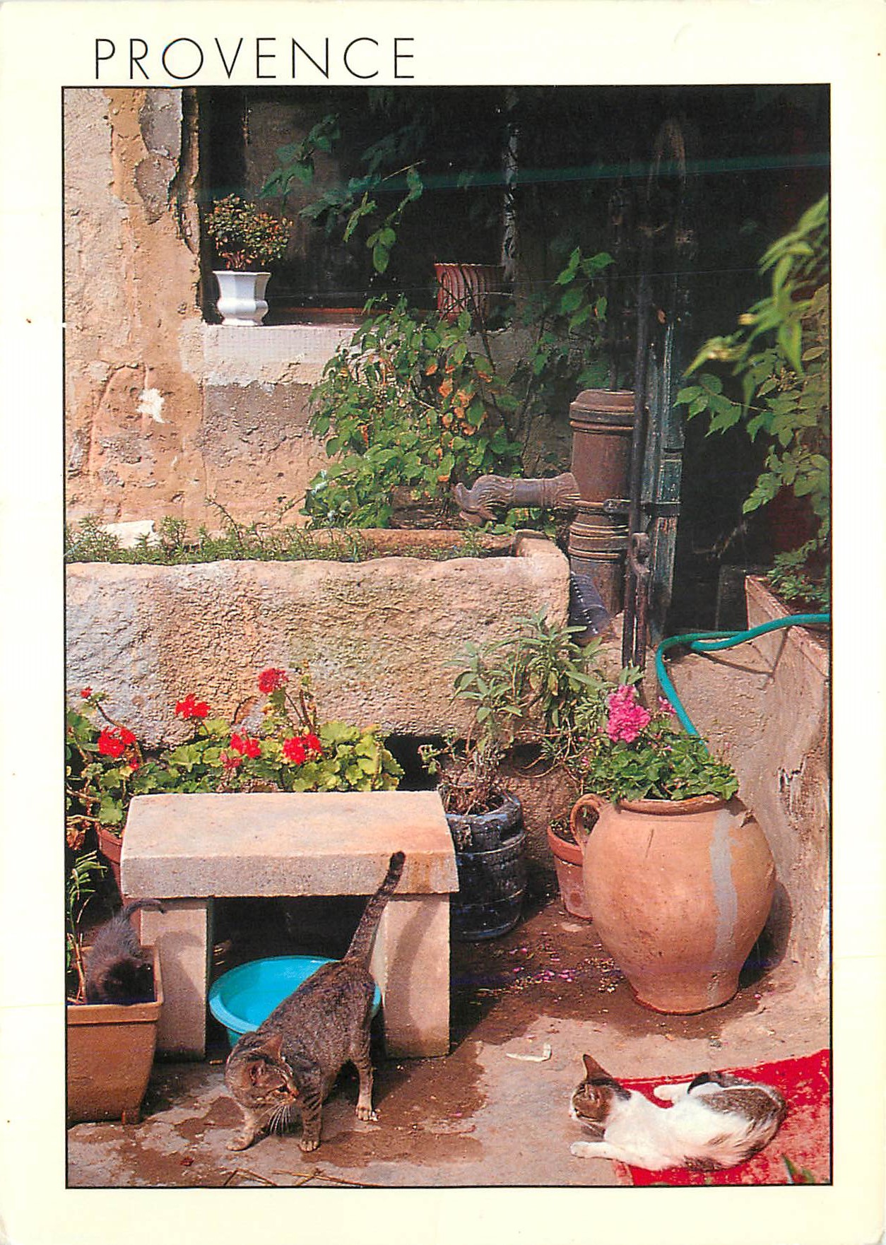 CPM Village de Provence la Cour Fleurie