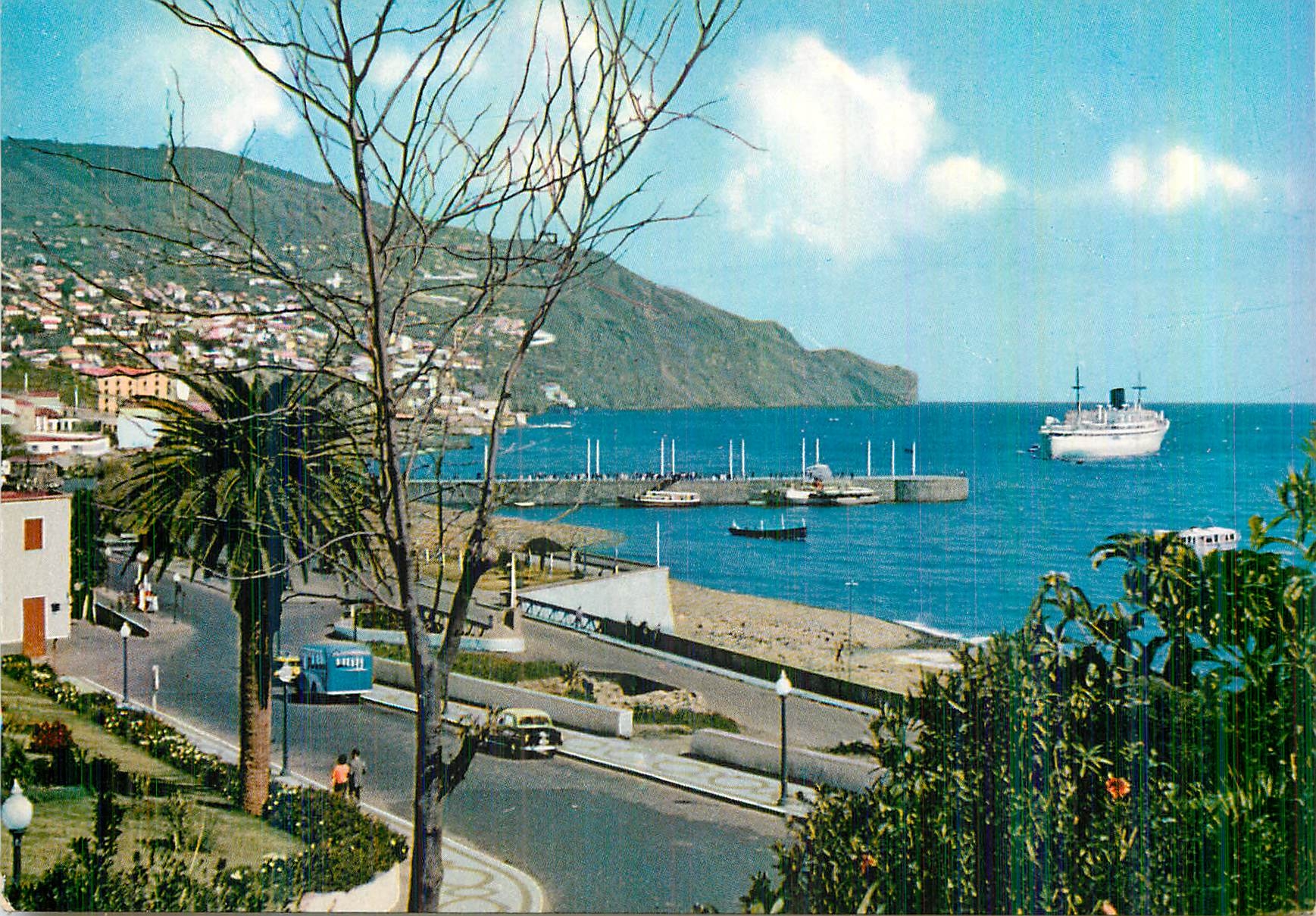CPM Funchal (Madeira) Vue Orientale