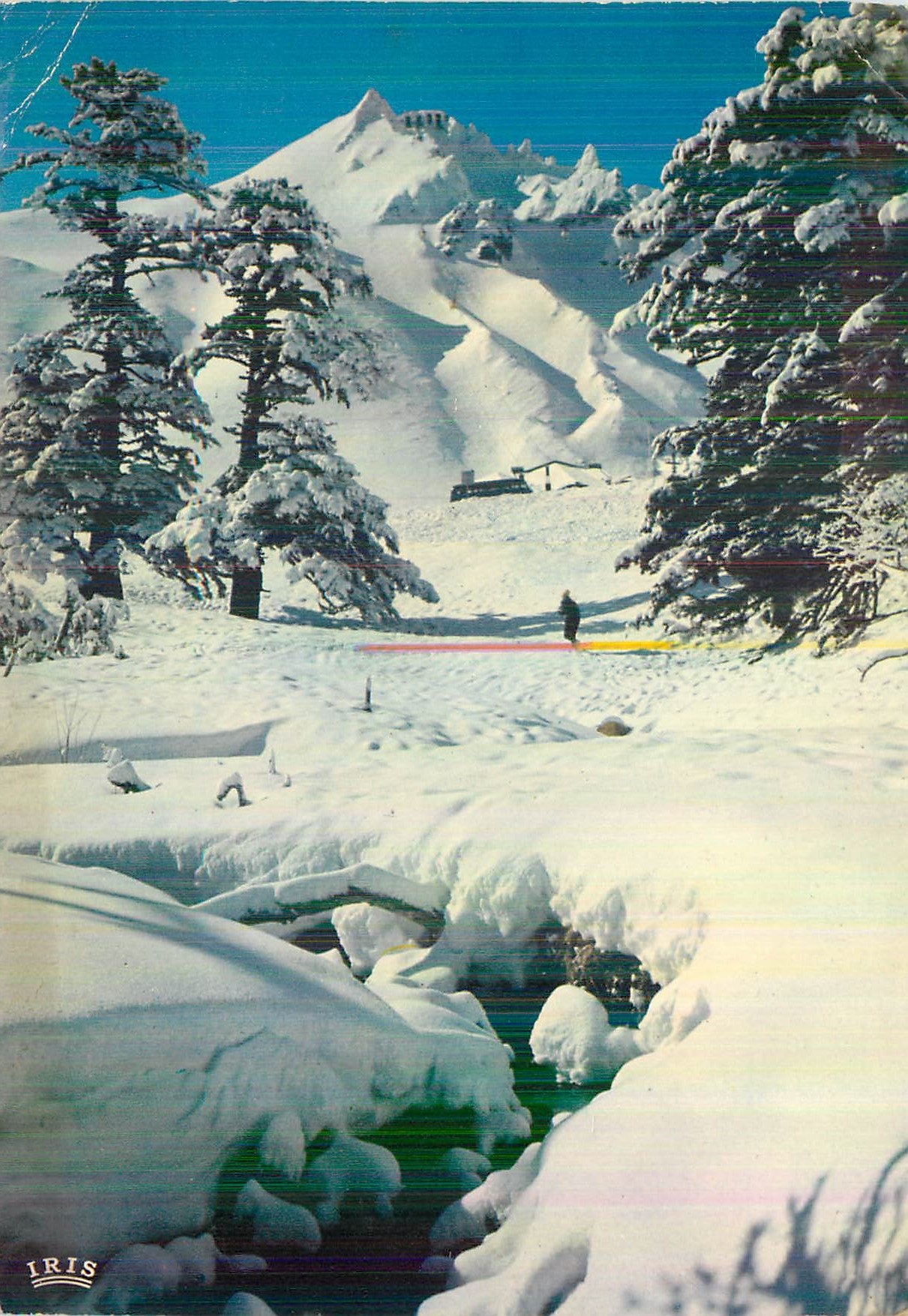 CPM le Mont Dore (1050 m) Sancy  (1886 m)