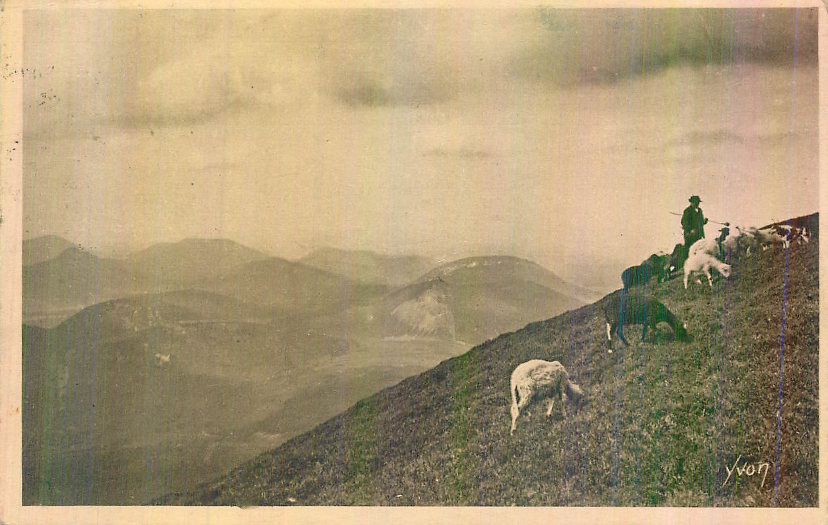 CPA Clermont Ferrand Auvergne au Sommet du Puy de Dome Moutons