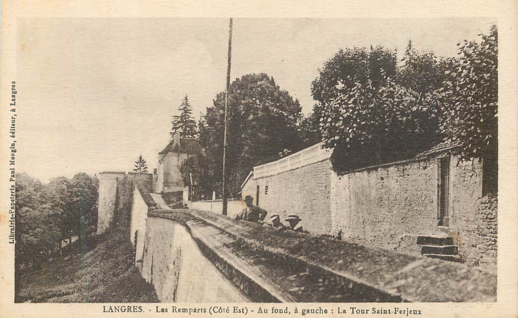 CPA Langres Les Premparts (Cote Est) Au Fond a Gauche La Tour saint Ferjeux