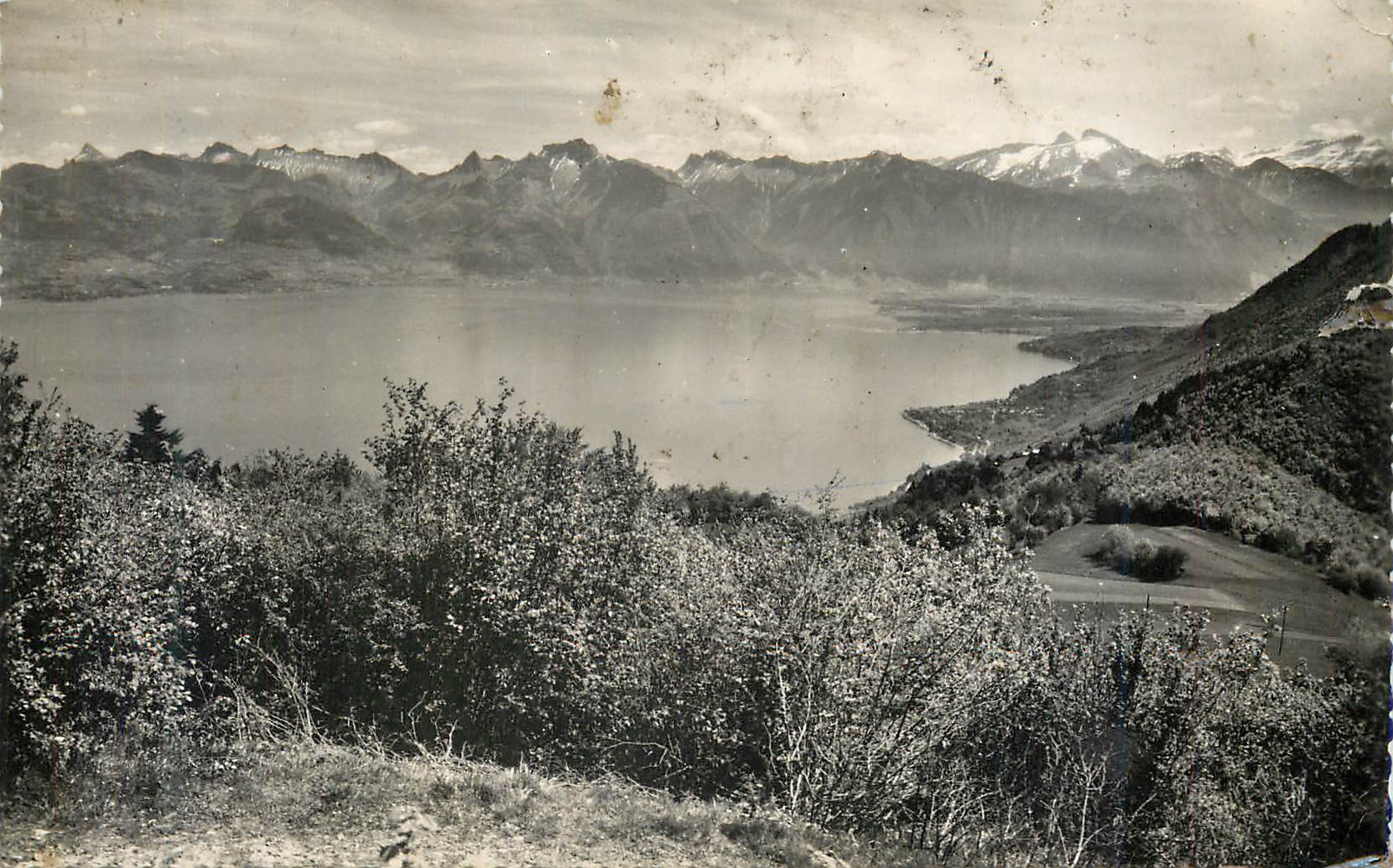 Thollon (Haute-Savoie) — Vue sur le Lac Léman et les Alpes Suisses — Éditions J. Cellard, Lyon