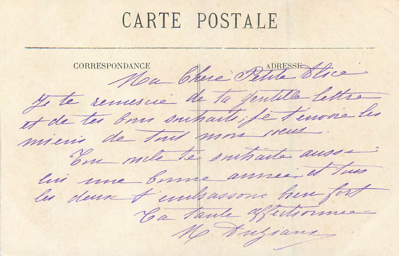CPA Pau Le Chateau Vue Prise du Parc — Verso