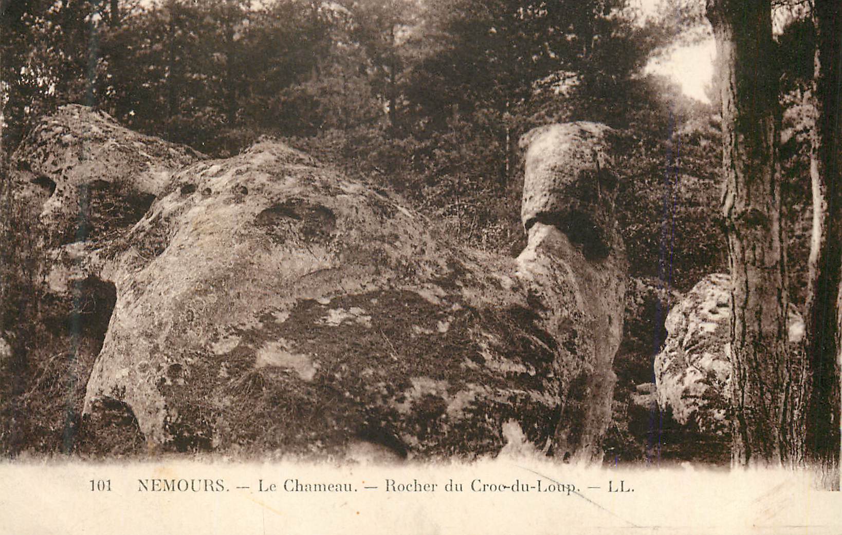 CPA Nemours Le Chameau Rocher du Croc du Loup