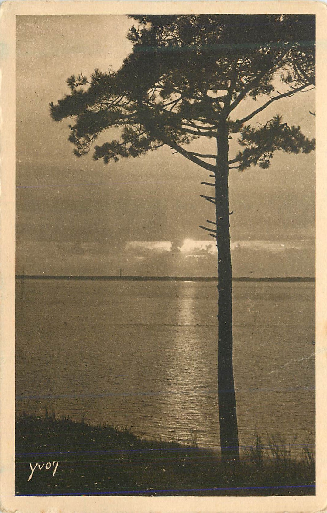 CPA Arcachon au Moulleau Derniers Rayons les Charmes de la Cote d'Argent Mer et Foret la Douce France