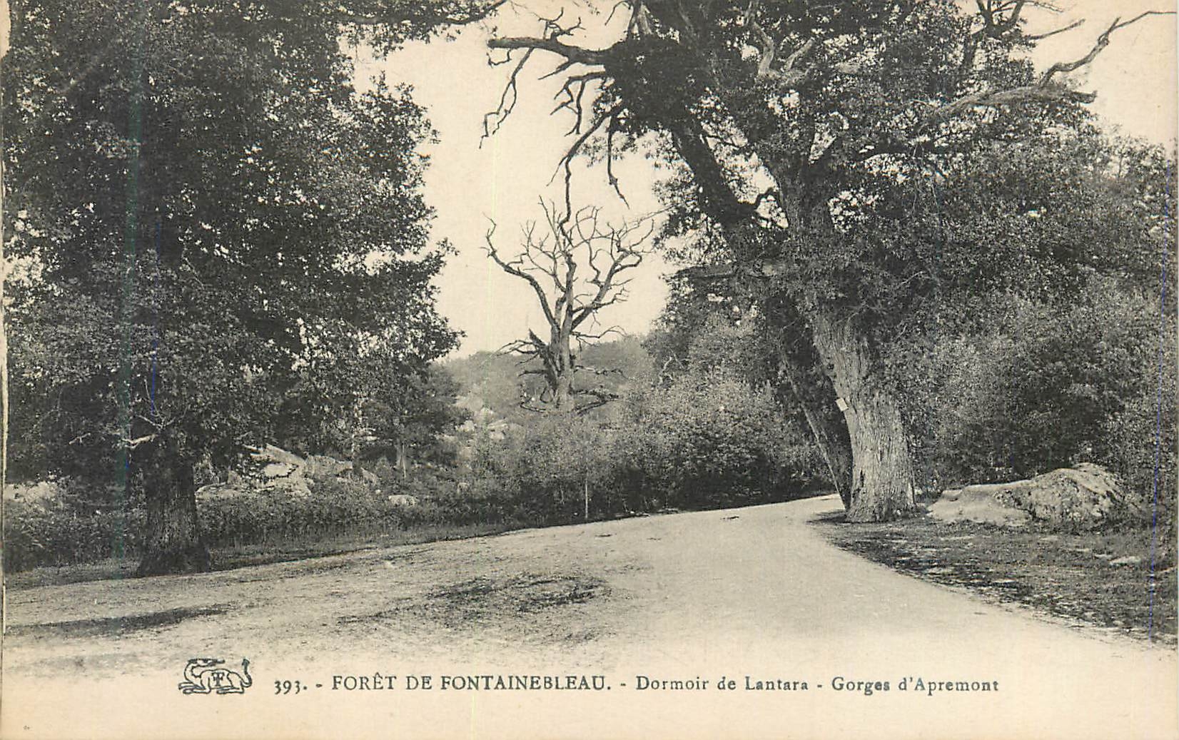 Forêt de Fontainebleau — Dormoir de Lantara — Gorges d'Apremont — n°393