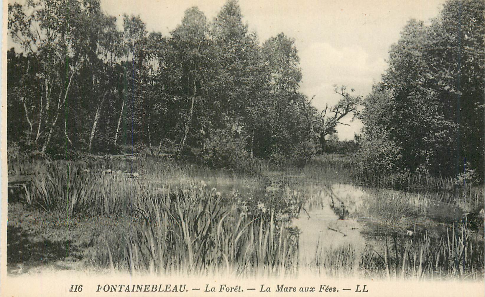 Fontainebleau — Die Wälder — La Mare aux Fées — LL