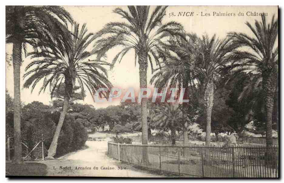 Nice - Les Palmiers du Chateau - Arcades de Casino - CPA 