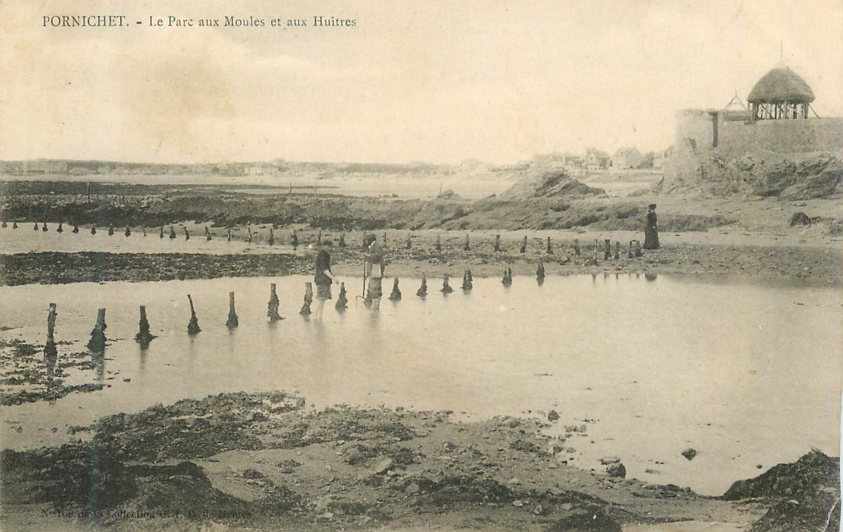 CPA Pornichet le parc aux moules et aux huitres