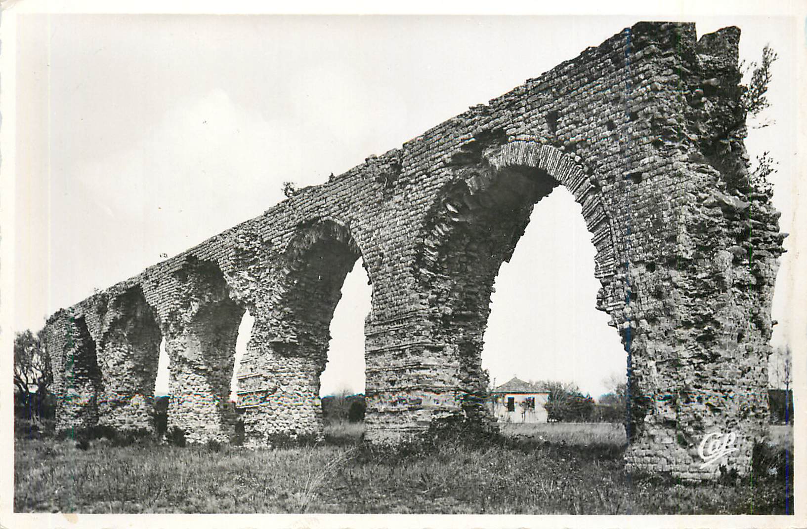 CPM 23 frejus (var) ruines de l aqueduc romain