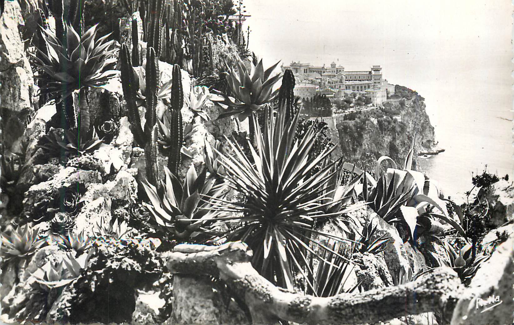 CPM La cote d azur le rocher de monaco vu des jardins exotiques