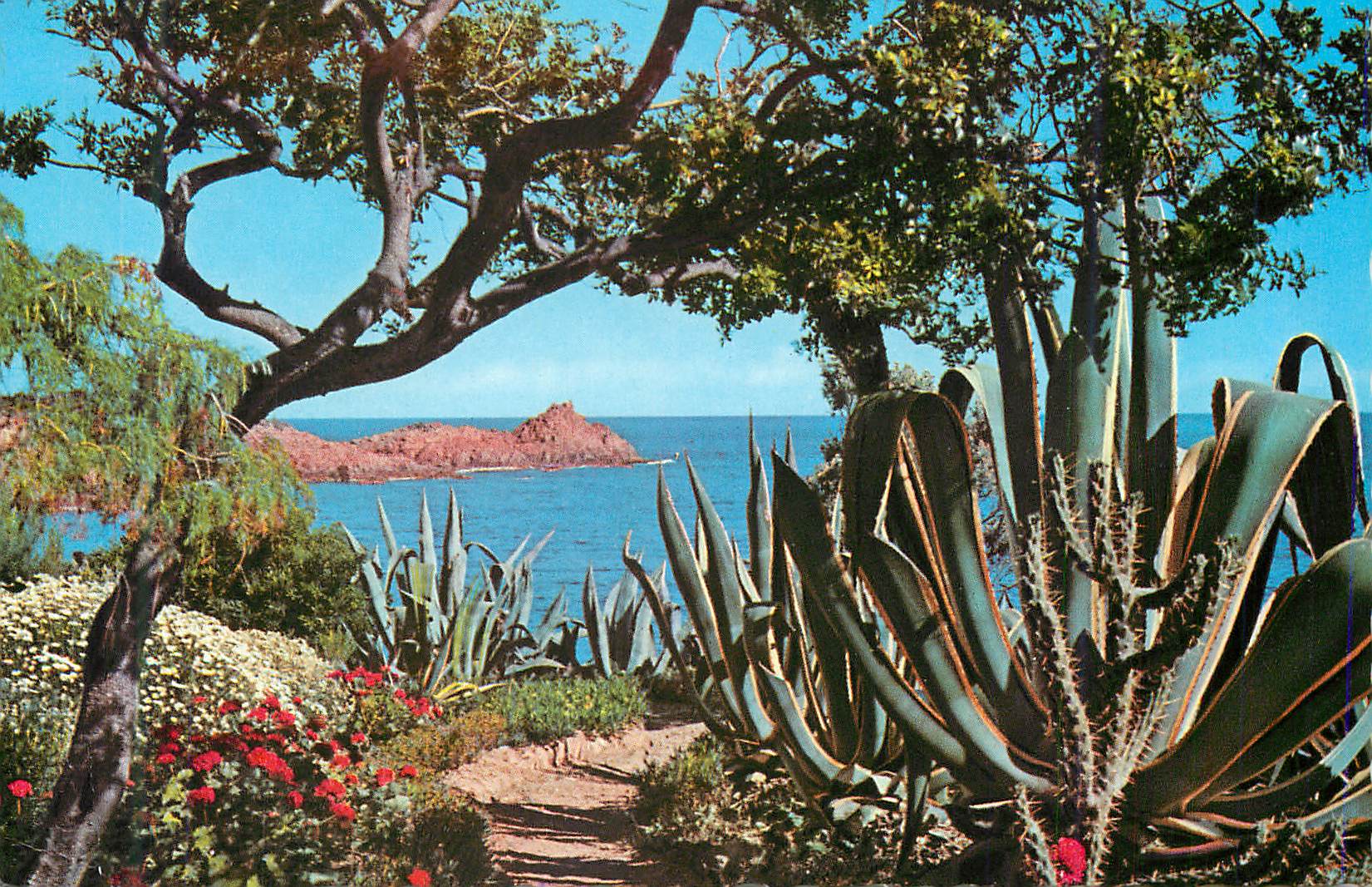 CPM La cote d azur 25 harmonie de couleur et de lumiere