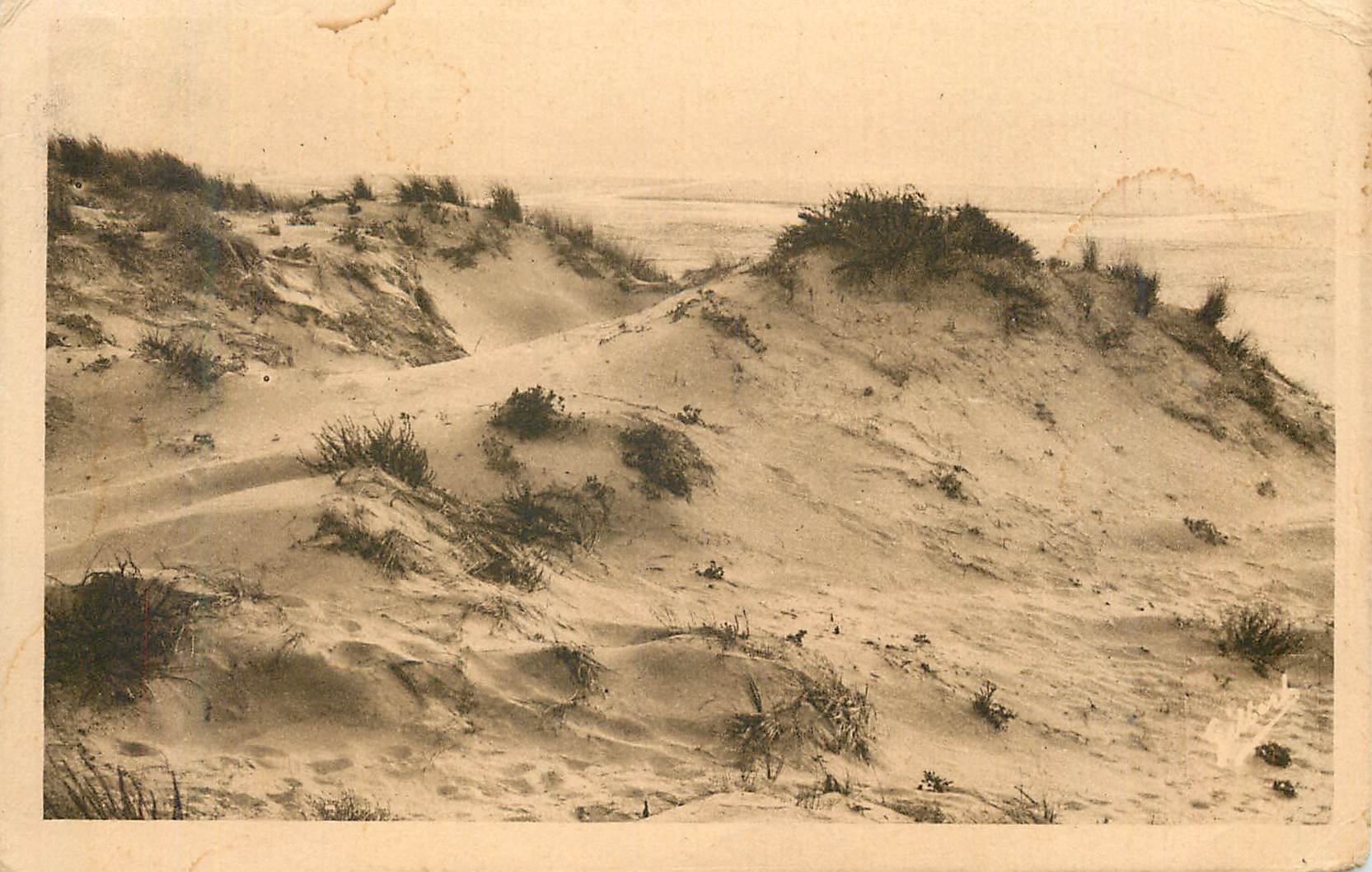 CPM 4672 a g a la cote d argent soulac sur mer les dunes vers l amelie