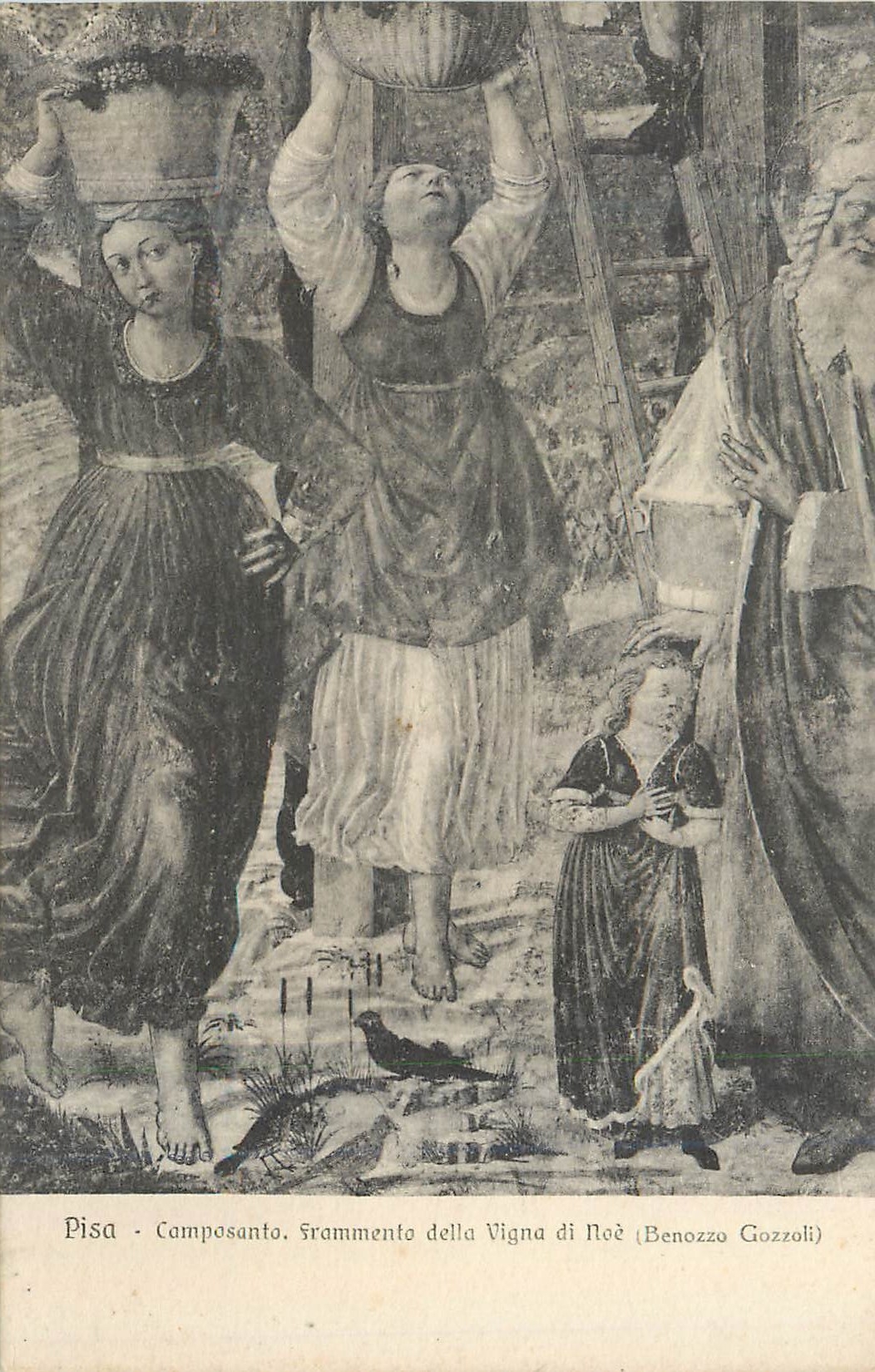 CPA Pisa composanto frammento della vigna di moe(benozzo gozzoli)