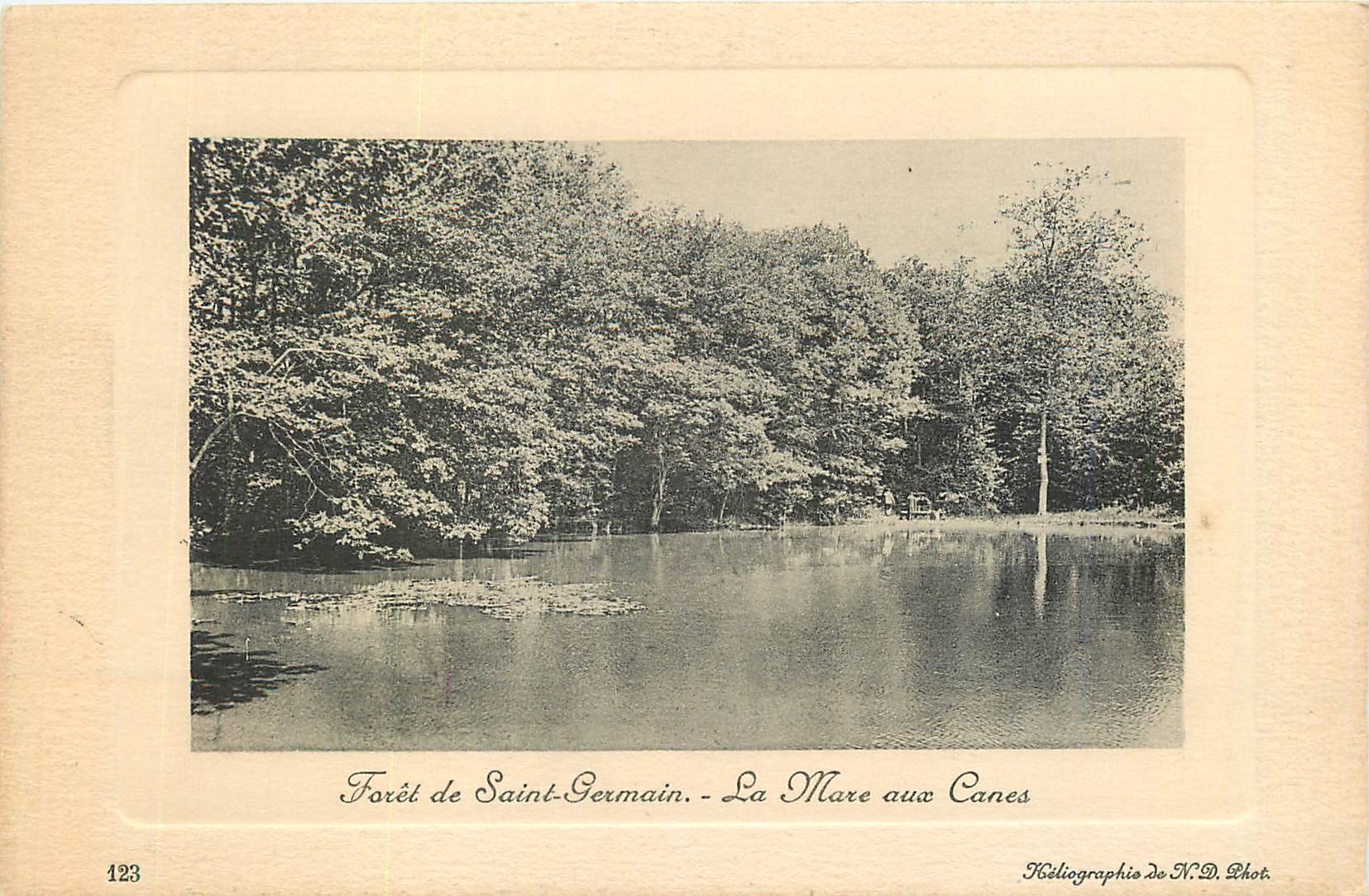 CPA Foret de saint germain la marc aux canes