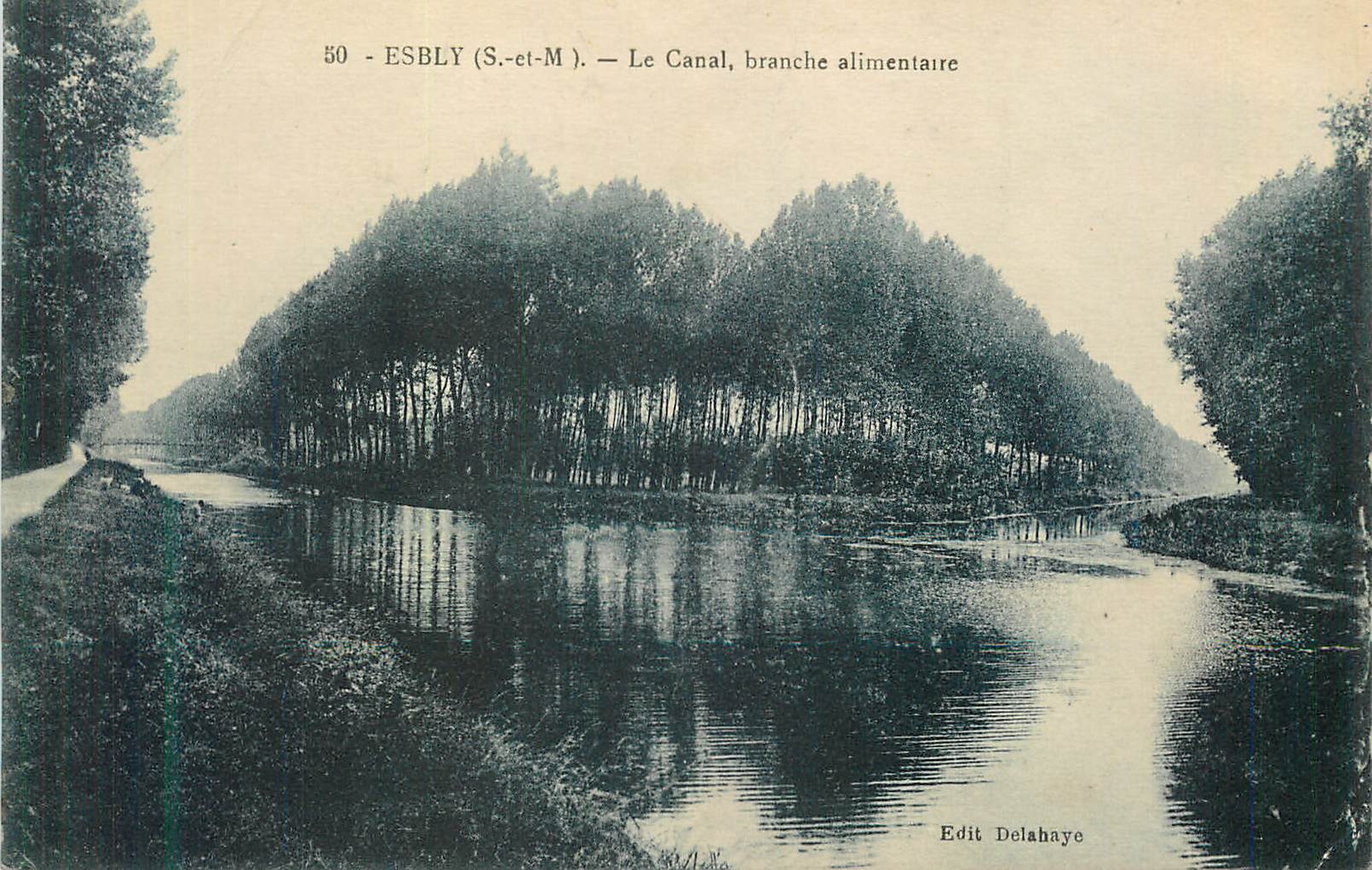 CPA 50 esbly(s et m) le canal branche alimentaire