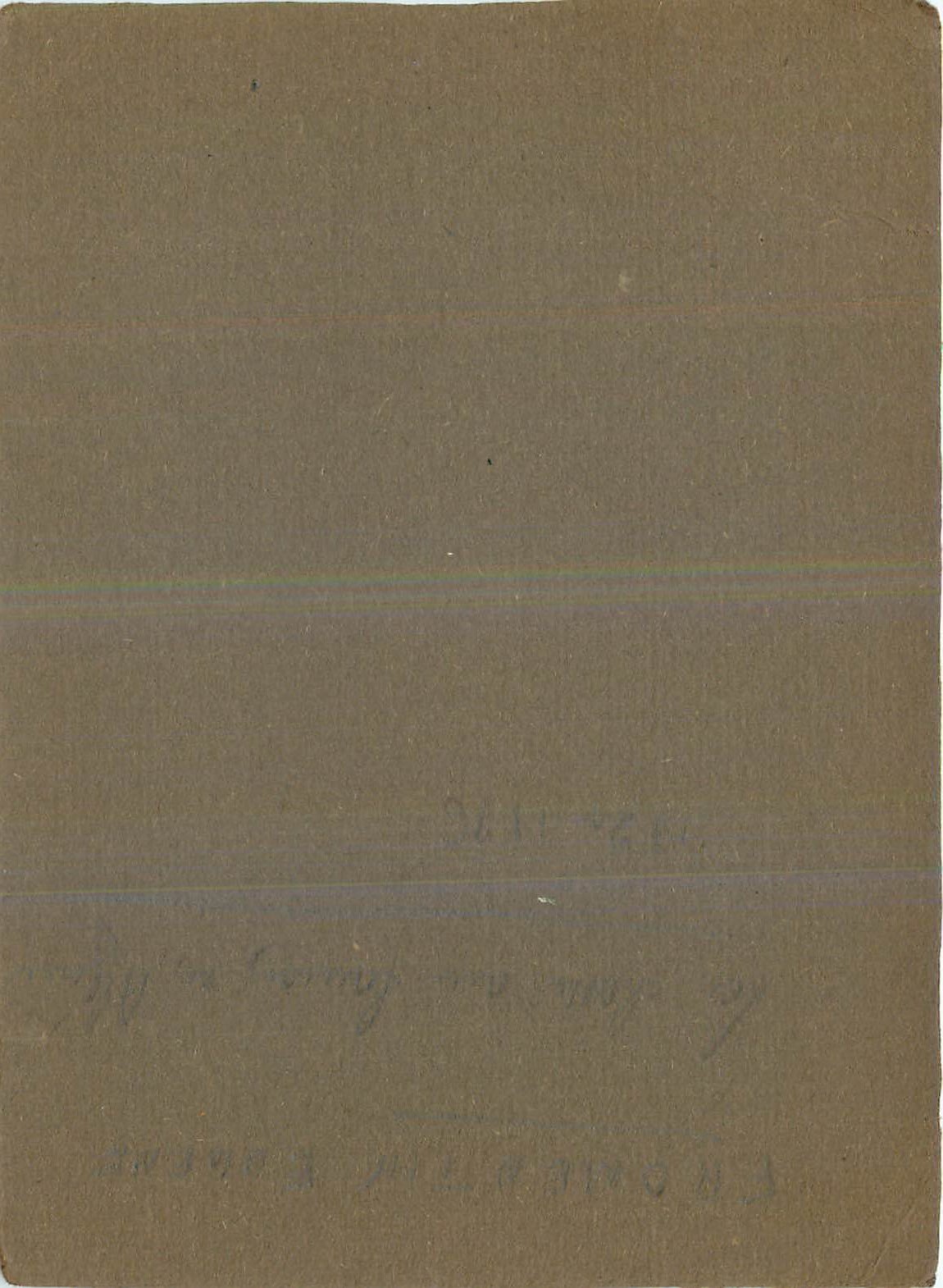 Image Chasse Rapace — Rückseite