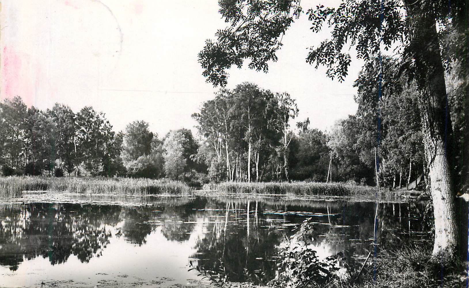 CPM Ballancourt (s et o) coin d etang chez bernard moteur