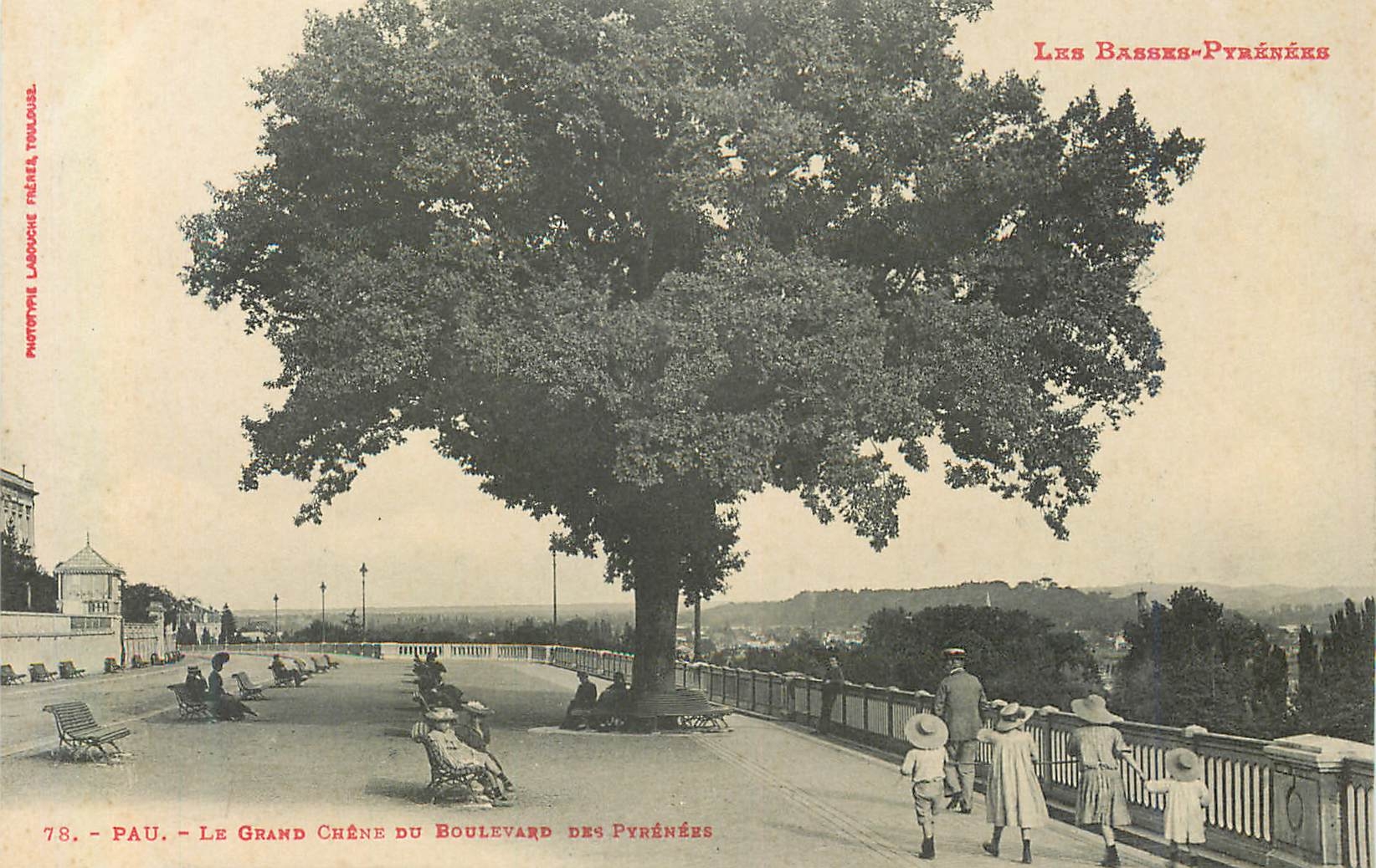 CPA Les basses pyrenees 78 pau le grand chene du boulevard des pyrenees