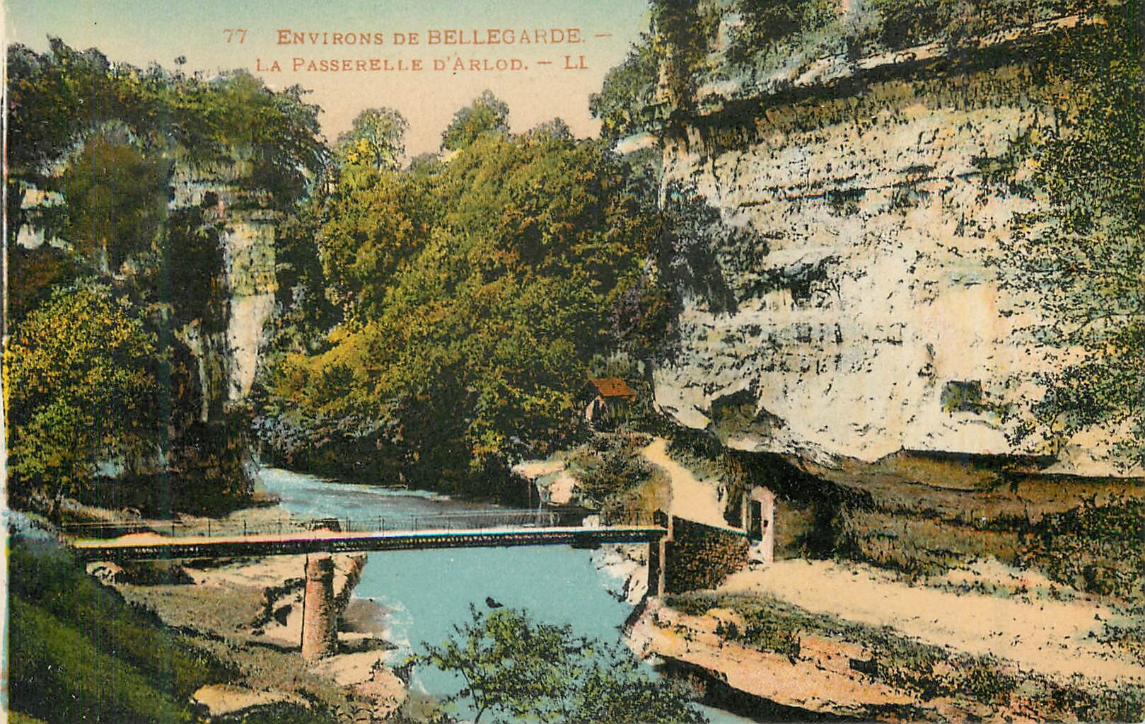 CPA 77 environs de bellegarde la passerelle d arlod