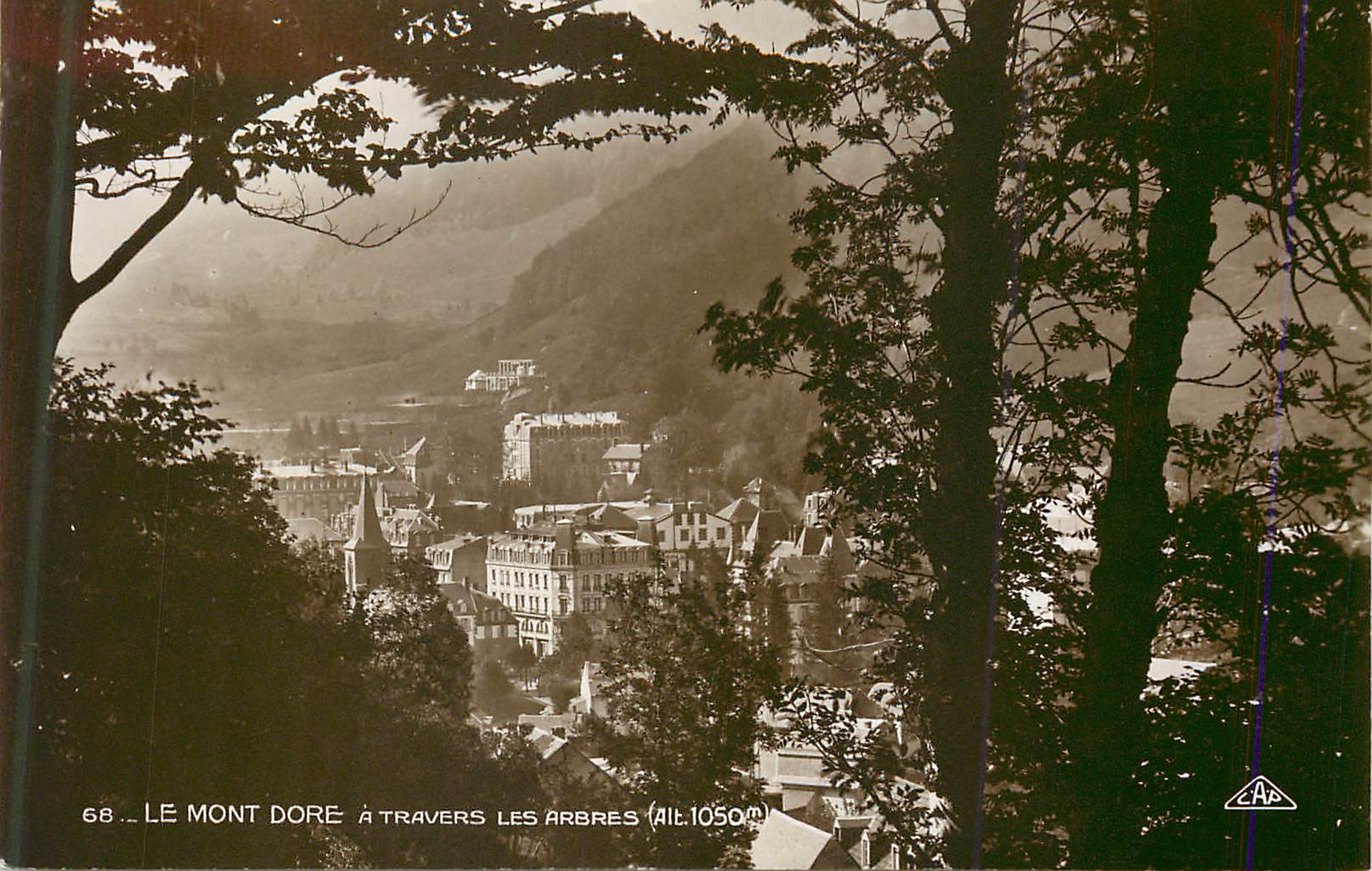 CPM 68 le mont dore a travers les arbres(alt 1050m)