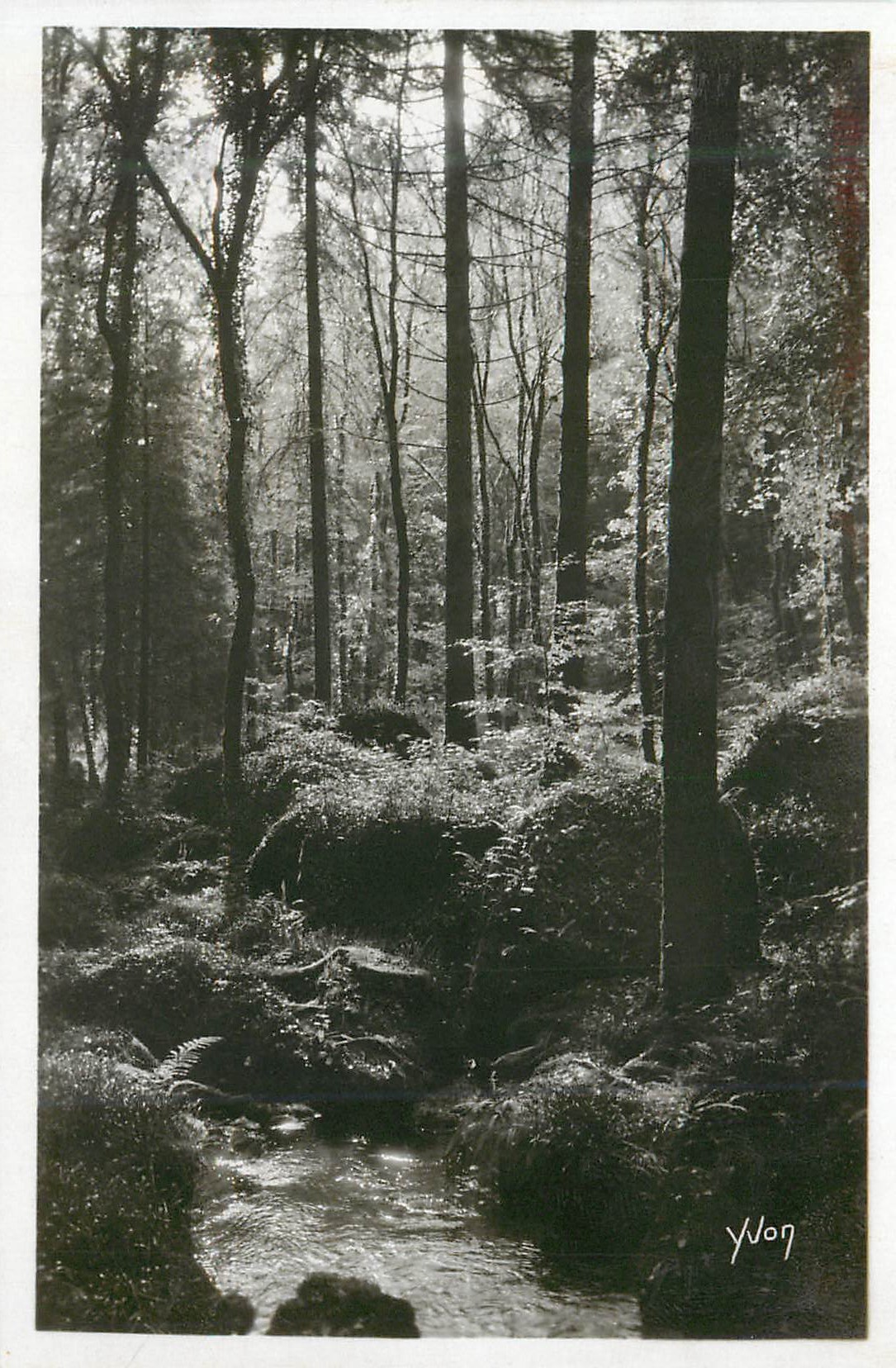 CPM La douce france 172 huelgoat la foret pres de la mare aux sangliers