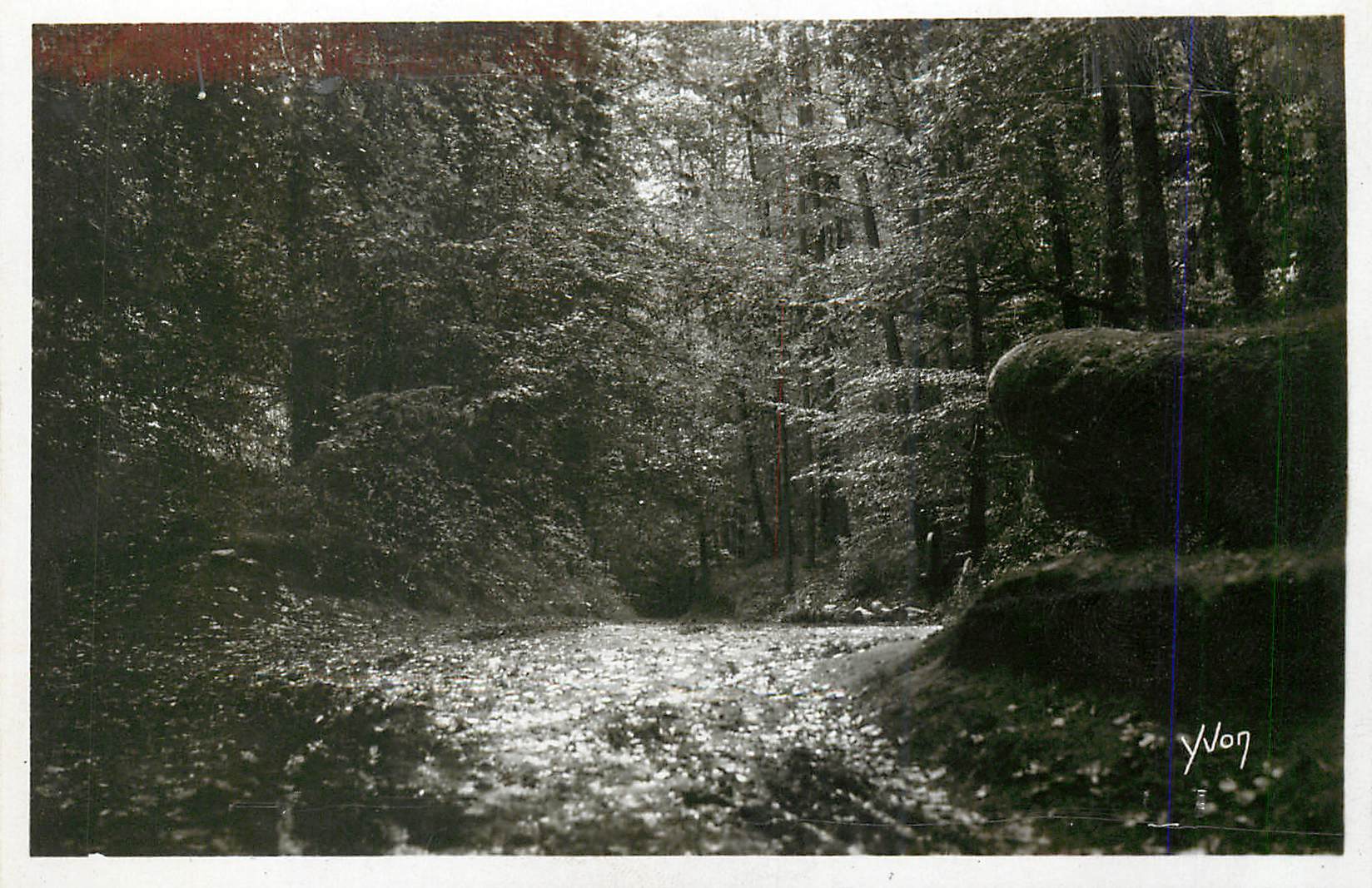 CPM La douce france 173 huelgoat route dans la foret