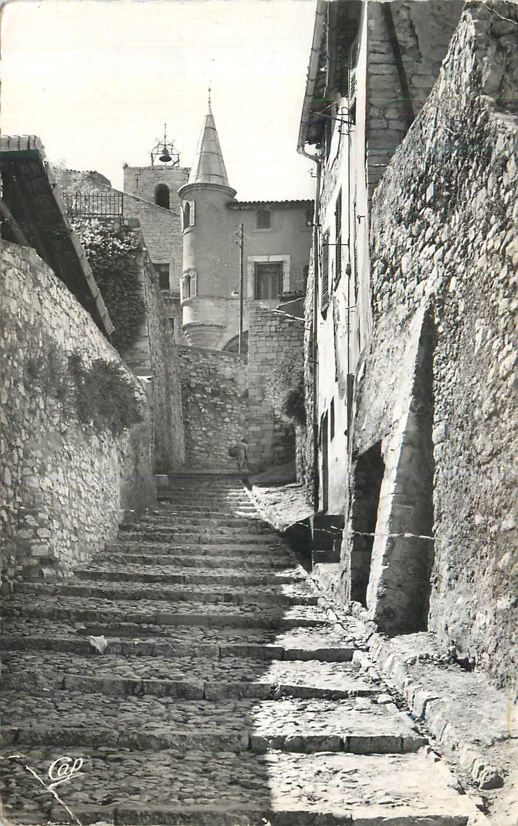 CPM 58 hyeres les palmiers vieille rue