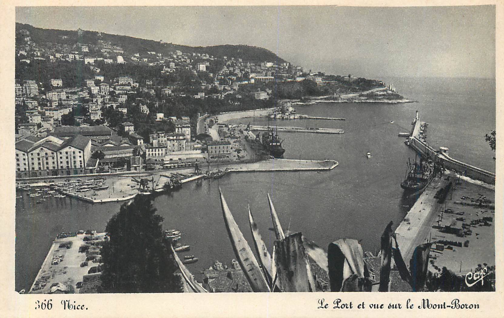 CPA 366 nice le port et vue sur le mont boron
