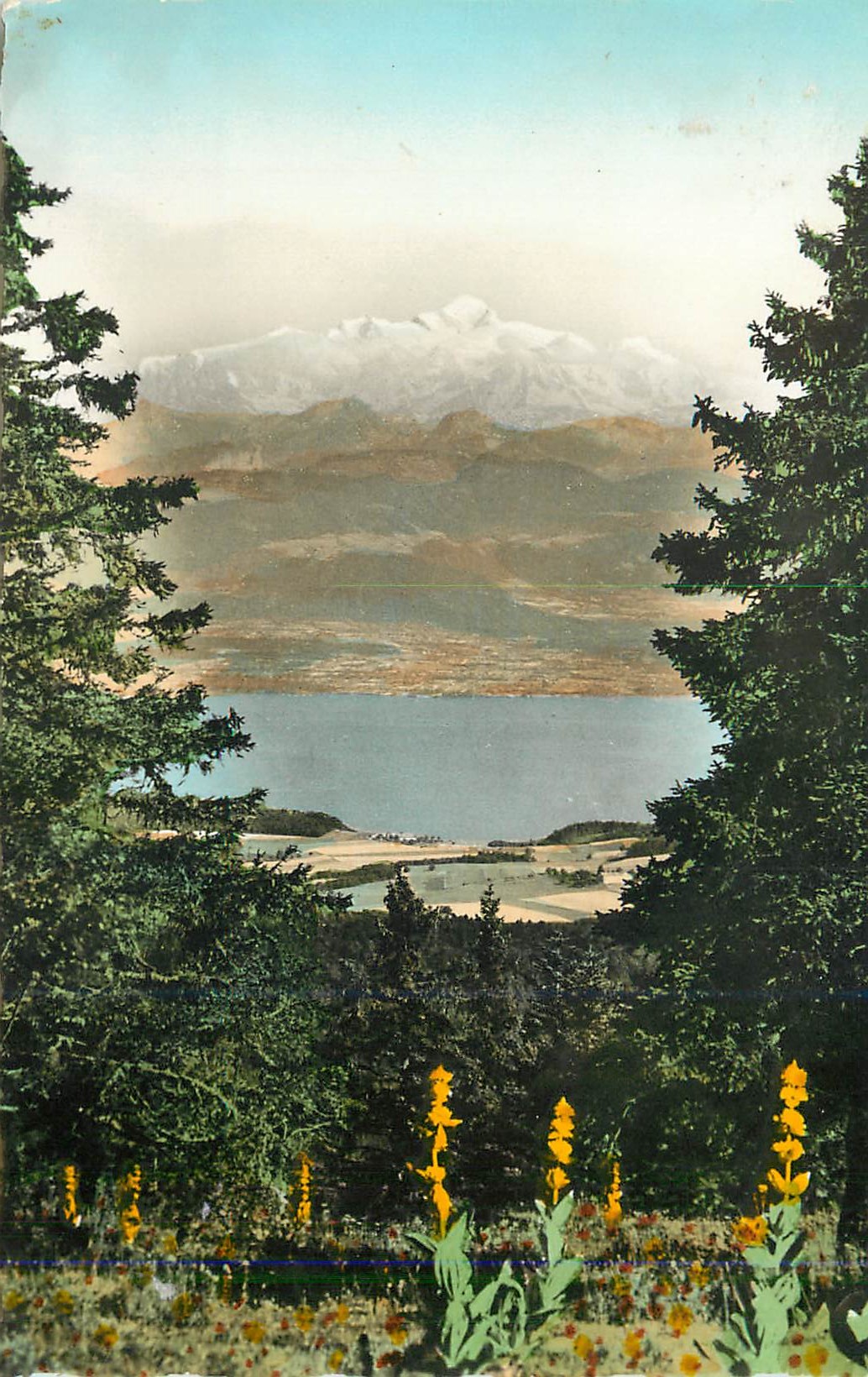 CPM La franche comte pittoresque 3222bis le lac leman et le mont blanc vus du col de la faucille