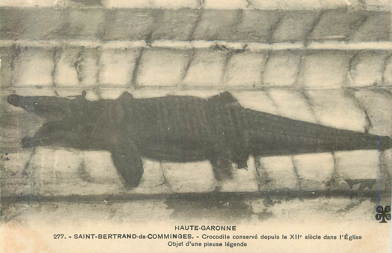 Saint-Bertrand-de-Comminges — Crocodile conservé depuis le XIIe siècle dans l'Église — HAUTE-GARONNE