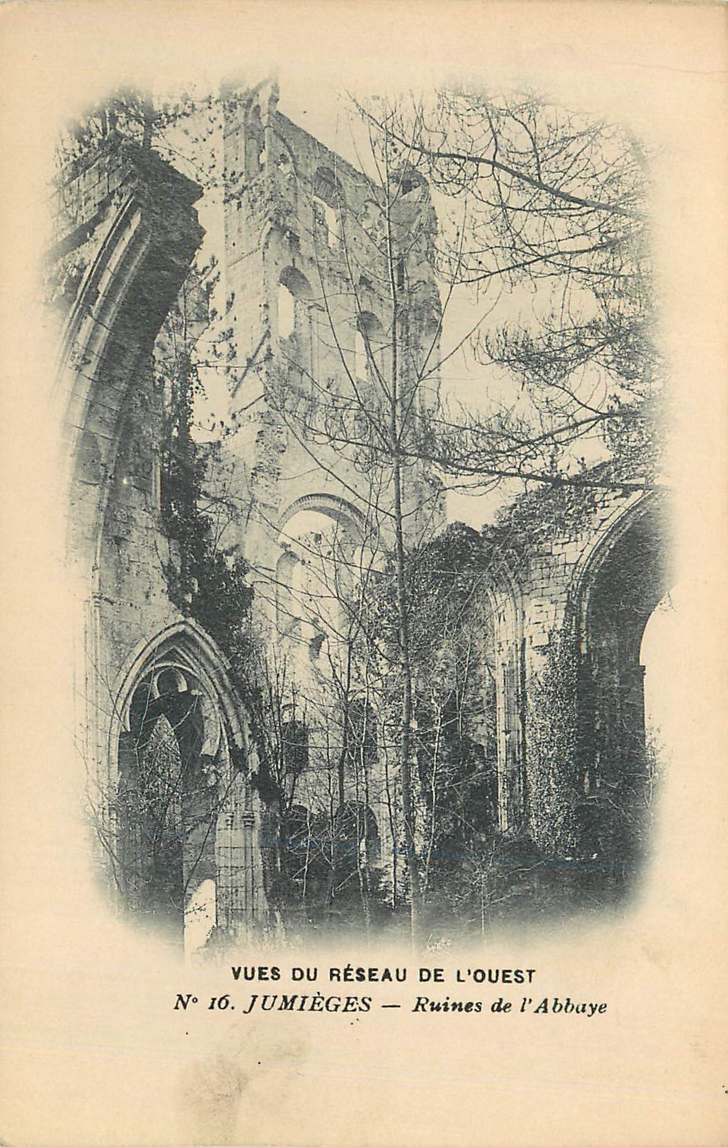CPA Jumieges Ruines de l Abbaye 
