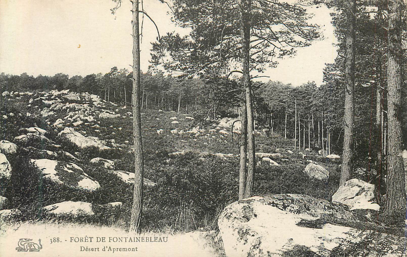 Foresta di Fontainebleau — Deserto di Apremont — n° 388