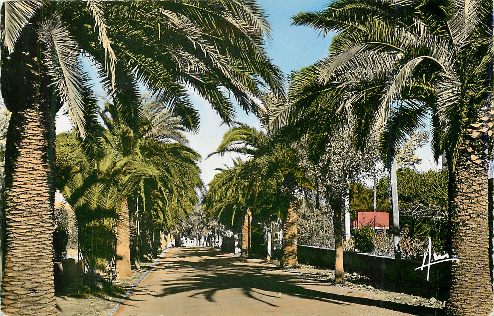 Avenue de Port-Issol — Sanary-sur-Mer — Éditions AKIS