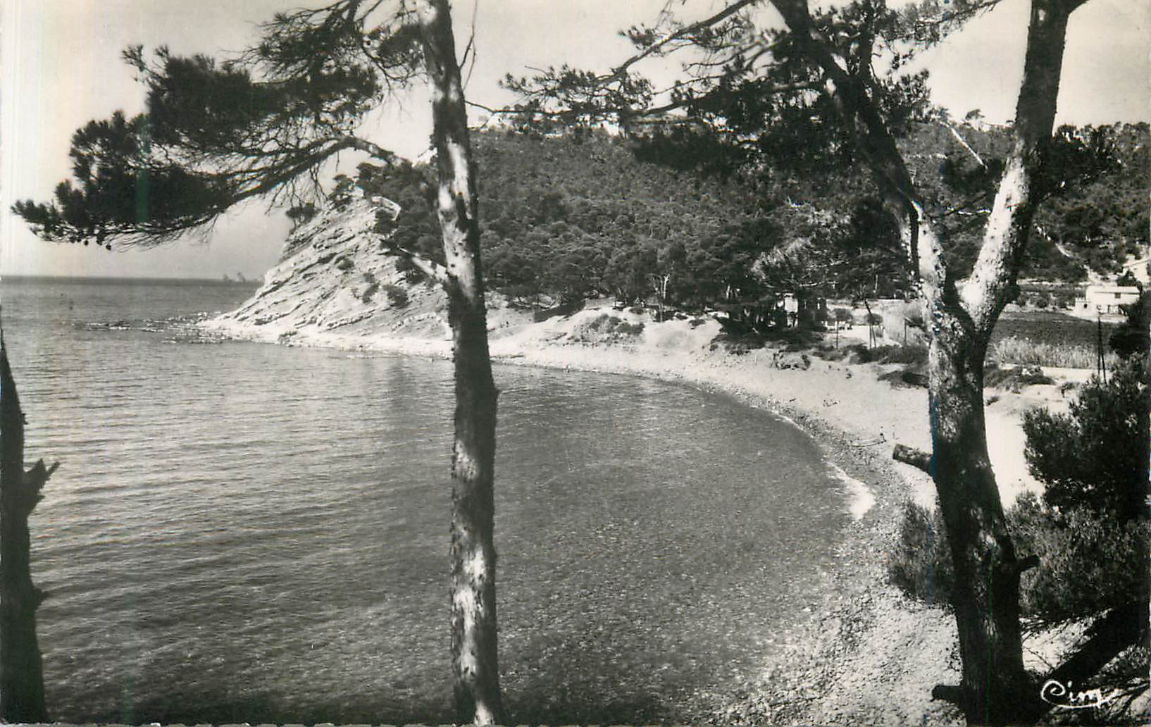 CPM St Mandrier Var Un coin de la Plage a proximite des Campings 