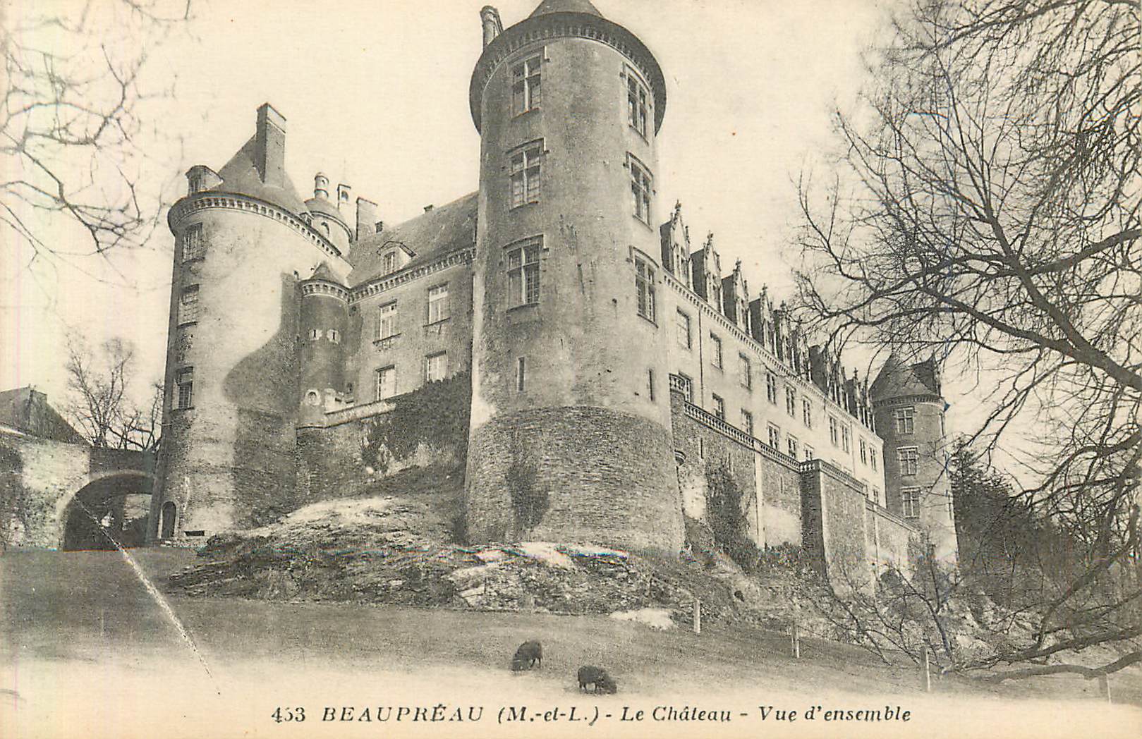 CPA Beaupreau M et L Le Chateau Vue d ensemble 