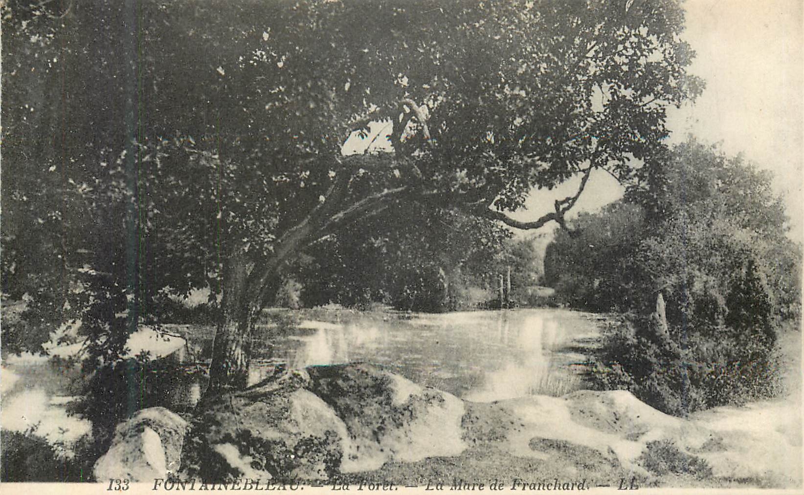 Fontainebleau — La Foresta — La Mare de Franchard — LL — 133