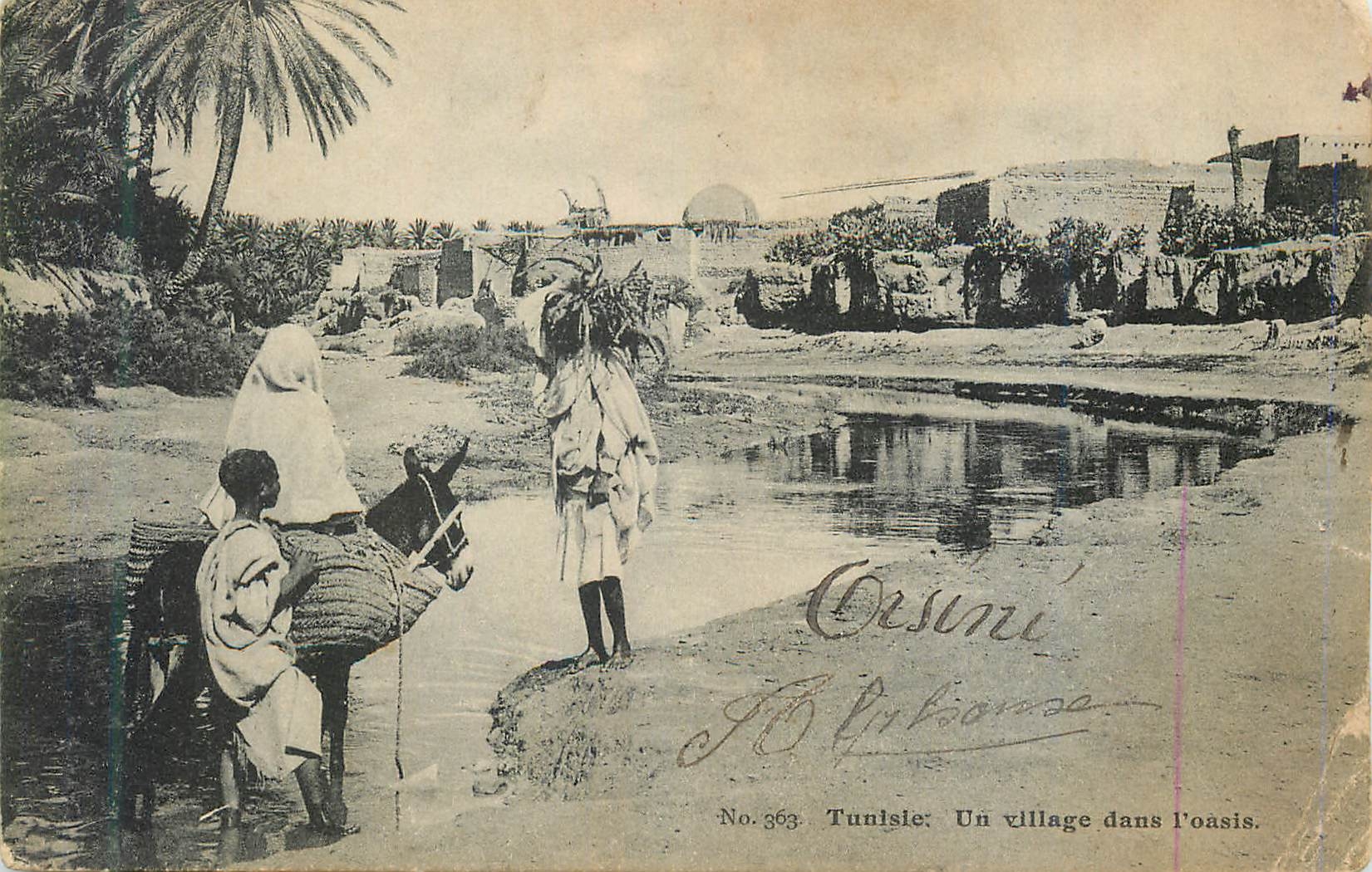 CPA Tunisie Un village dans l oasis Ane Donkey