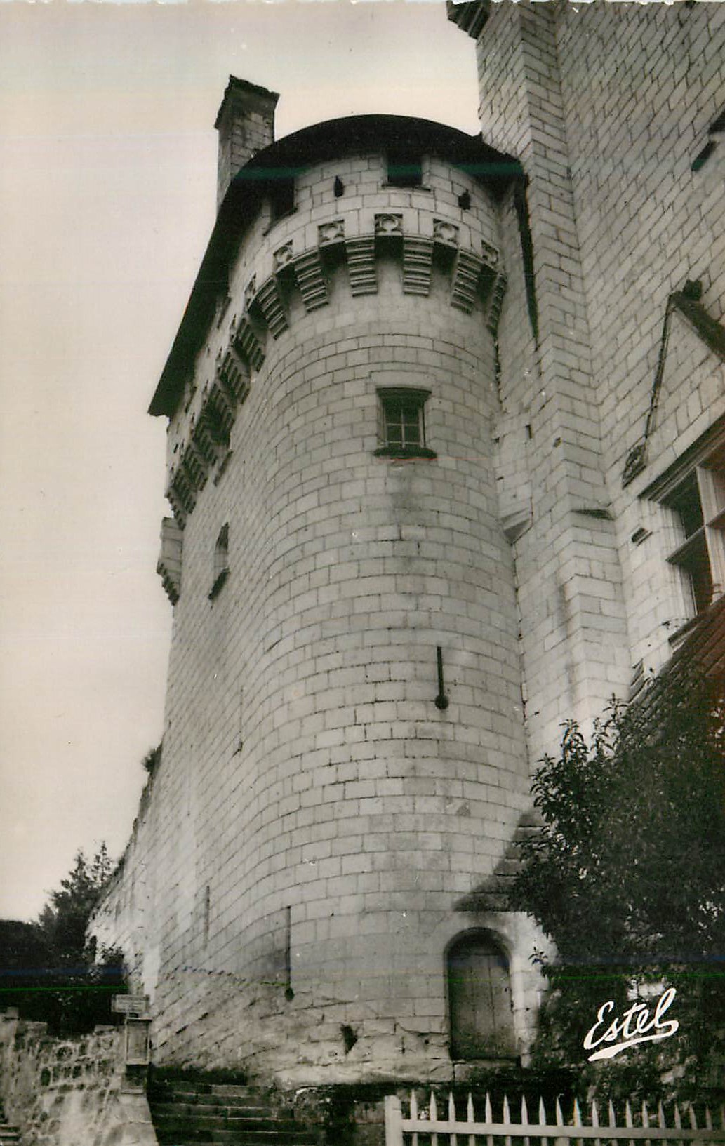 CPM Le Chateau de Montsoreau Tour de l Est 