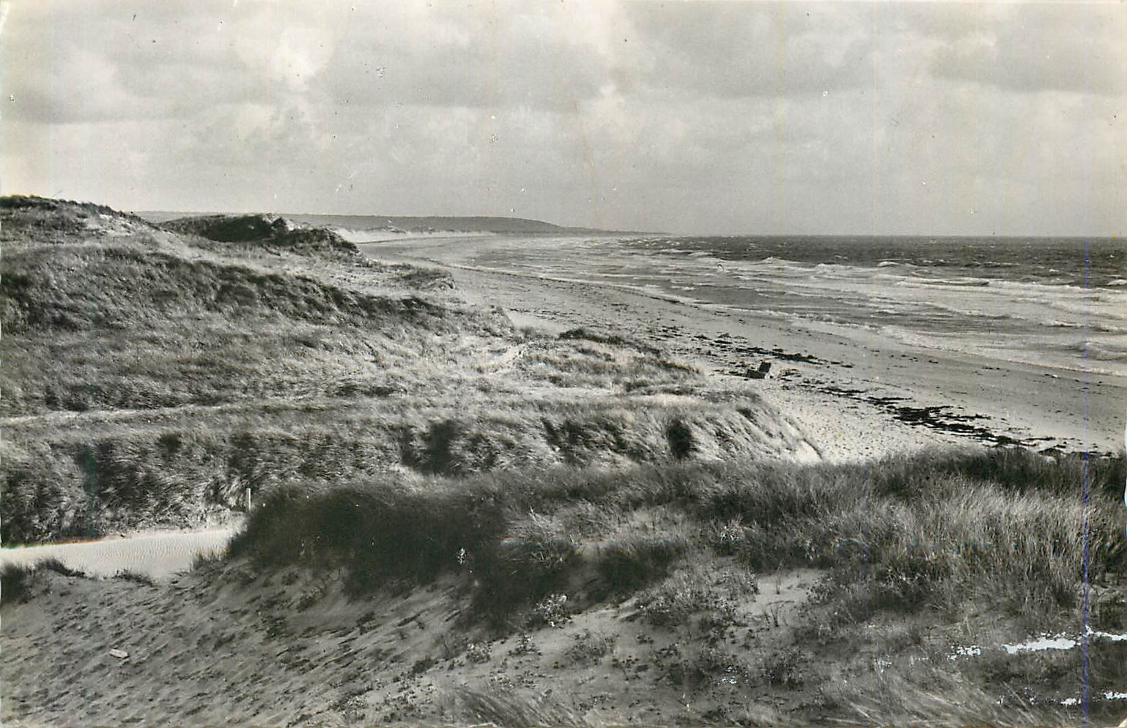 CPM Surtainville Manchel La plage et le Cap de Carteret 