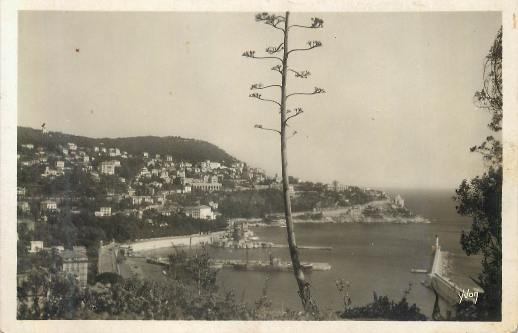 CPM Cote d Azur Nice L Entree du Port 