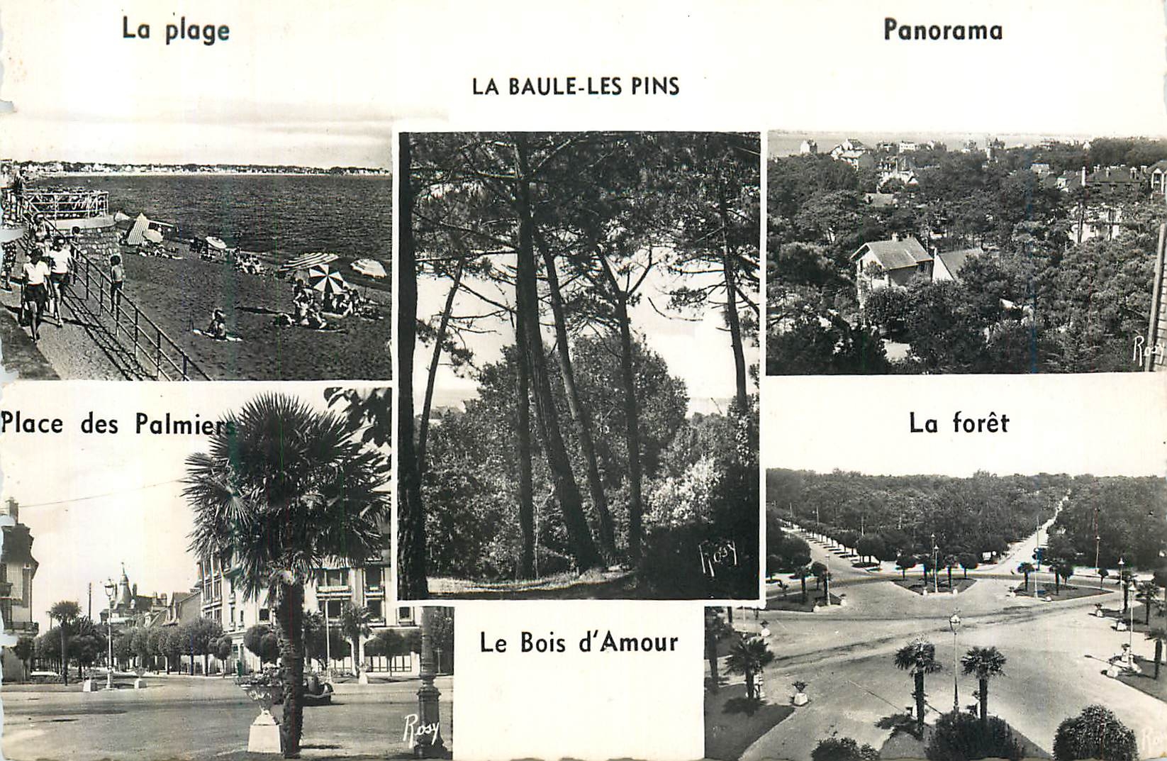 CPM La Baule les Pins La Plage Panorama La foret